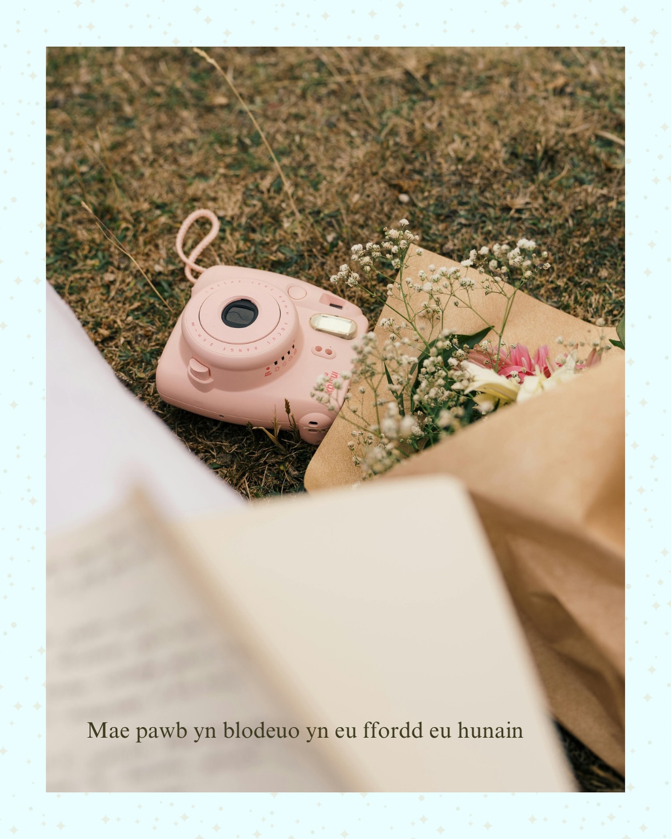 Mae pawb yn blodeuo yn eu ffordd eu hunain 🌸