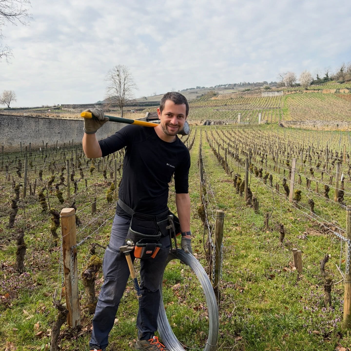 🔧🌿 Dans les coulisses du Pommard Clos Beaudier !
Ces derniers jours, on s’active pour remettre en état le palissage : piquets, fils, amarres… chaque détail compte pour que nos vignes soient prêtes à donner le meilleur 🍇💪.
#DomaineMichelArcelain #Pommard #ClosBeaudier #TravailDeLaVigne #VinBourgogne 🌱🍷