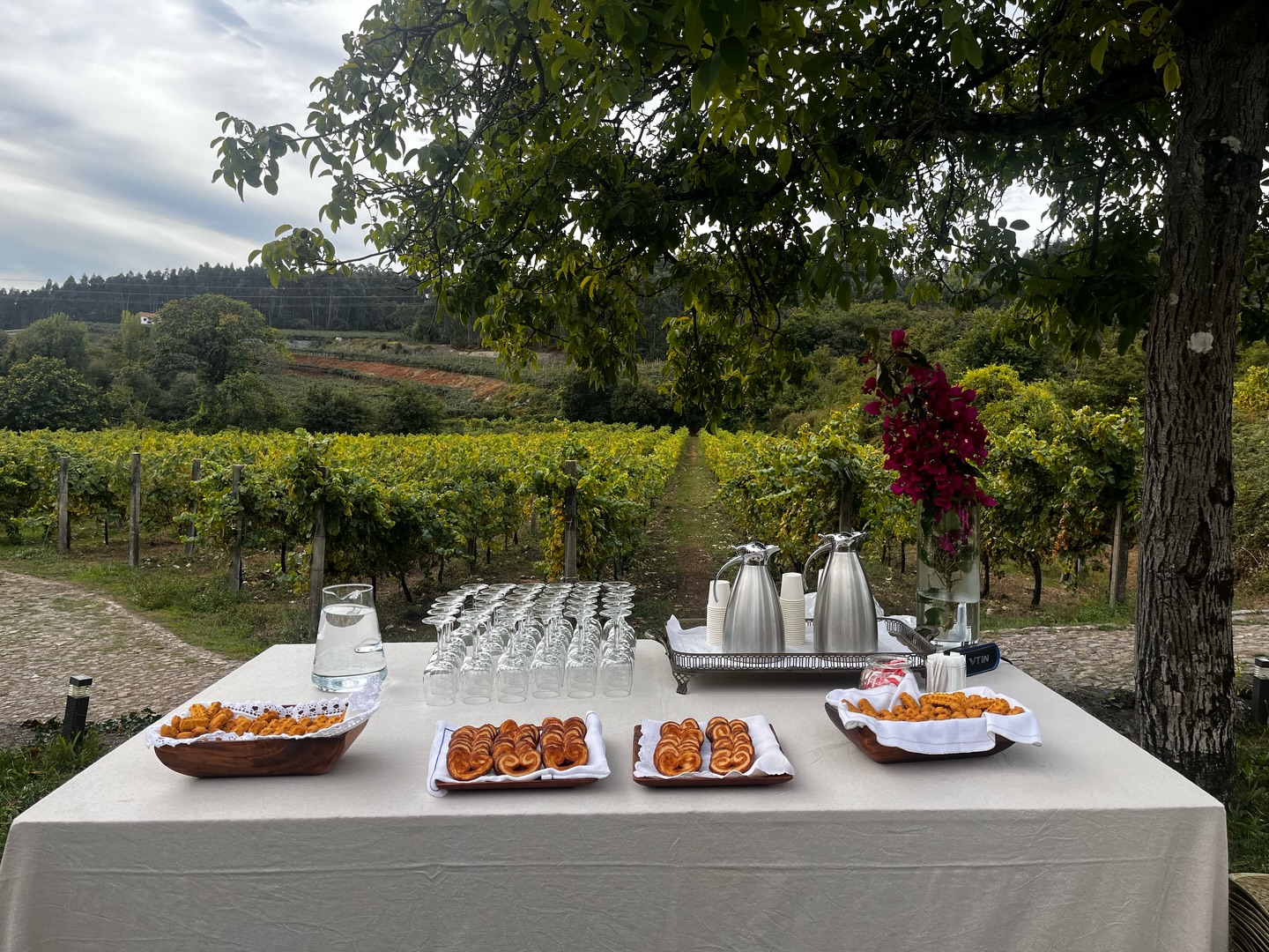 Rodeada de natureza e tranquilidade, a nossa quinta oferece um cenário não só entre vinhas, mas também entre velhos carvalhos, ambos perfeitos para tornar o seu evento inesquecível.
Dispomos de vários spots distintos entre si na nossa propriedade, para que possa escolher o ambiente e cenário que melhor se adapta à sua festa ou celebração.
Entre em contacto connosco para mais informações.ℹ️
__
EN
Surrounded by nature and tranquility, our estate offers a setting not only among vineyards but also among old oak trees — both perfect for making your event unforgettable.
We have several distinct spots across our property, so you can choose the atmosphere and setting that best suits your party or celebration.
Get in touch with us for more information. ℹ️
#QuintaDosEncados #RegiaoDemarcadaDosVinhosVerdes #EventsandMeetings #Eventos #TeamBuilding