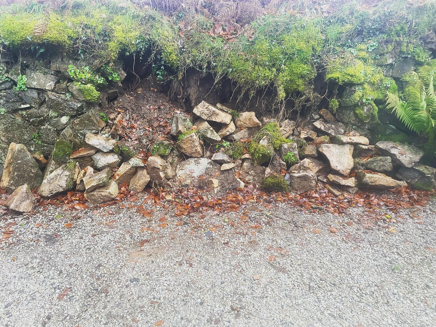 Small wall repair to start the New Year. Winter doesn’t mean there is nothing to do in the garden, it’s the perfect time to get on top of those maintenance jobs, deciduous tree pruning and of course rose pruning is just round corner! We’ve got lots to share over the coming weeks, lots of planting, pruning and landscaping all to come. Spring will soon be upon us 🌱
#chagford #devon #dartmoor #gardening