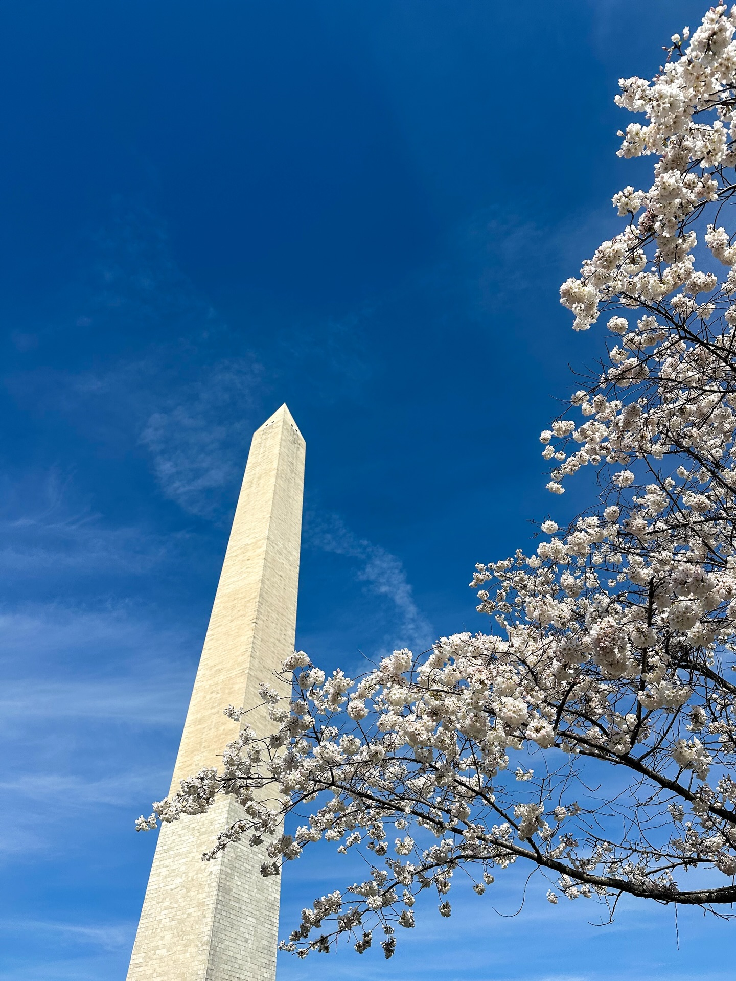 Weekend recap continued!
Afternoon Day 2:
- We went to the @spymuseum !! (We spent 5.5 hours exploring the museum, so much to do and see!! We also visited their camouflage exhibition, which was so cool!)
- Dinner at @agoradc ! Soooo yummy and it’s on @inkind.app 😍
- Got a scoop of mint chip ice cream from @happyicecreamdc 😋
Day 3:
- Breakfast at @detourcoffeeco yum yum yum
- Went to the Washington Monument/Tidal Basin to see some cherry blossoms. They weren’t in full bloom yet but that’s just around the corner!