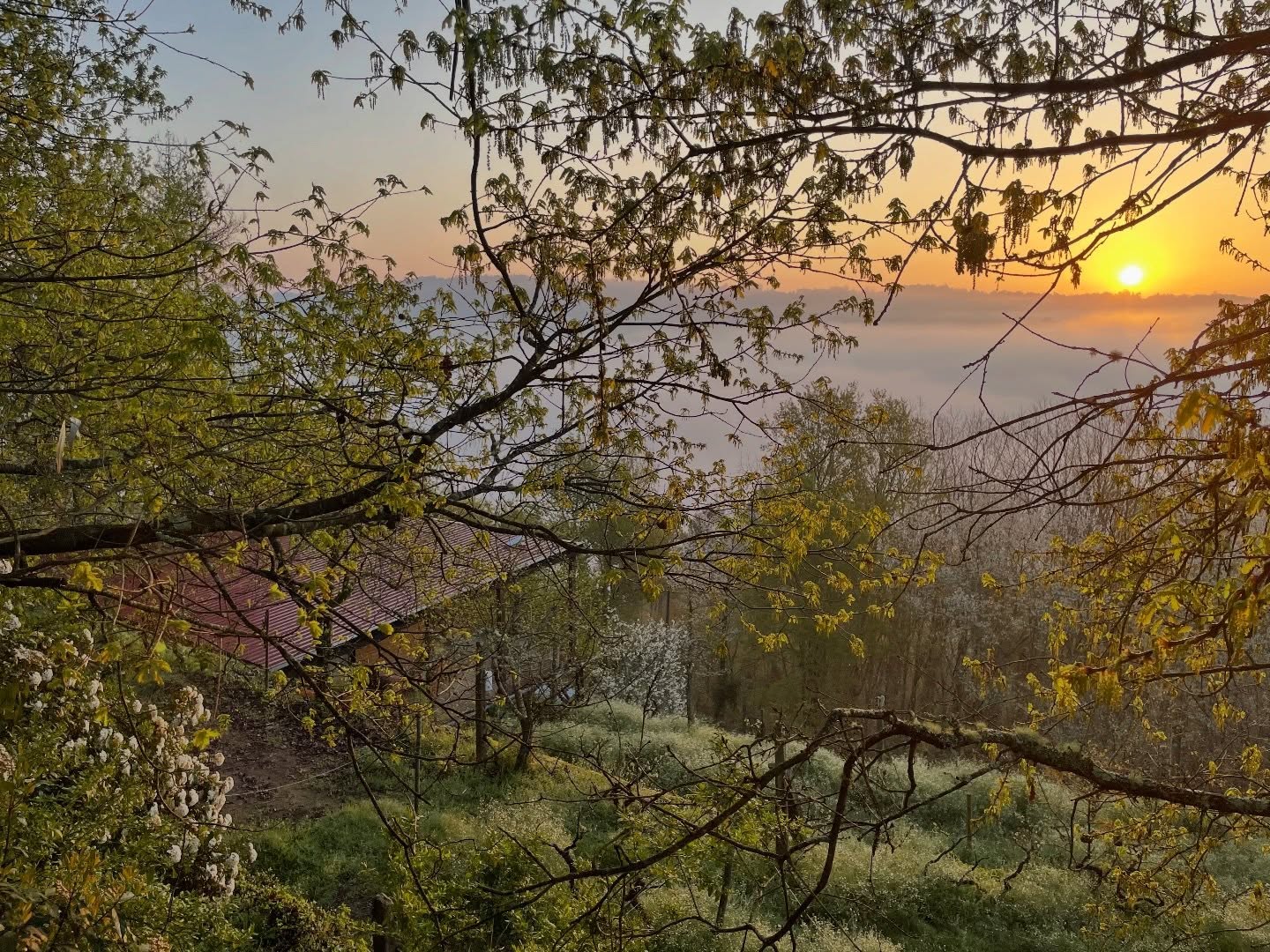 Our shala starts to be surrounded by green more and more. Oh how we love this time of year when everything is blossoming! 🌸
Slowly (not so slowly of course, in real life 😆) we are preparing the land for upcoming season.
Holiday weeks and retreats are filling up, we are again improving and beautifying our little paradise and can’t wait to share it with you!
Upcoming weeks we’ll share some more detailed info about all of the events on the Deveza Calendar 🙋🏻♀️💕
•
#glampingportugal #retreatcenterportugal #smallscale #landofdeveza
