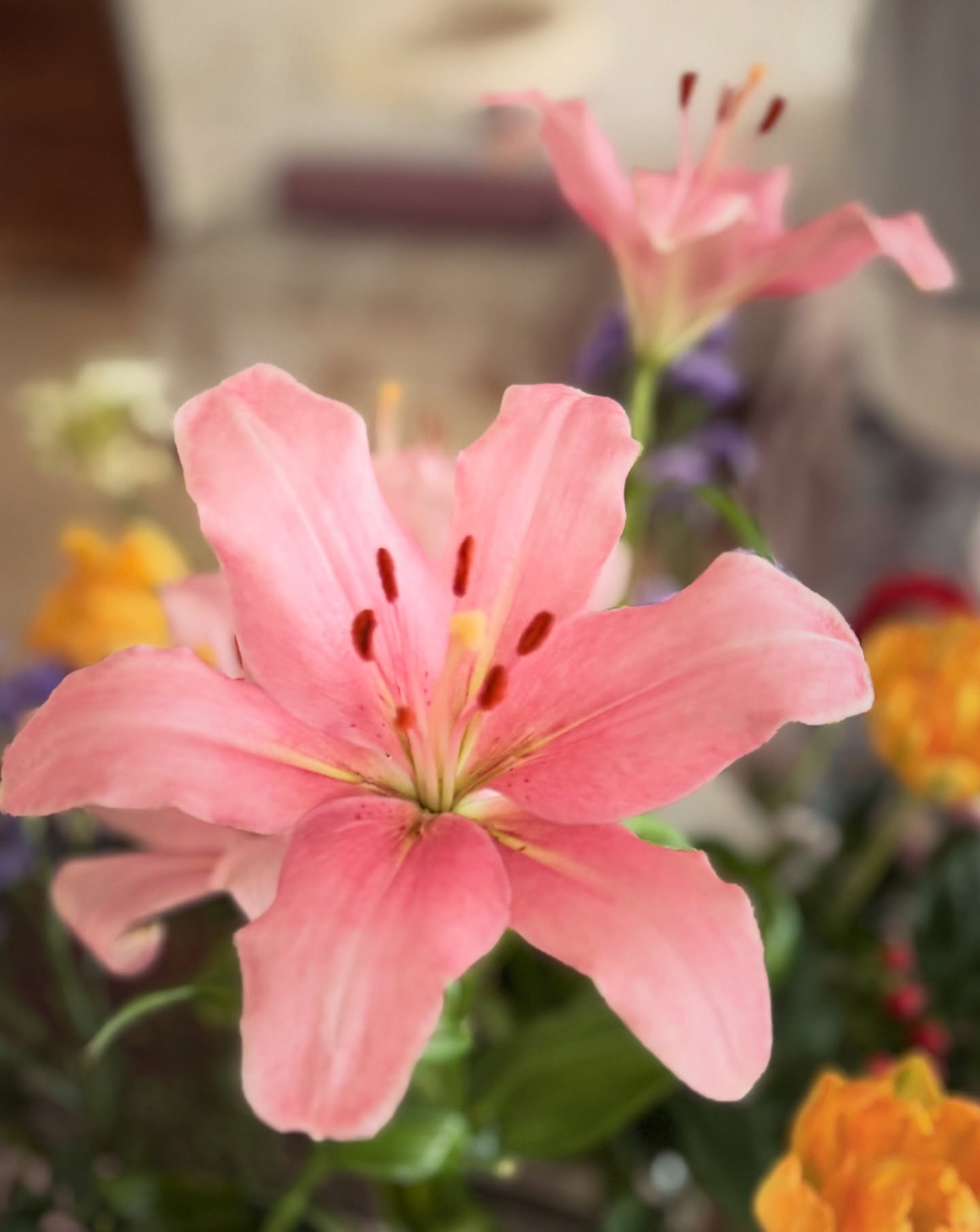 Het ruikt naar lente in de HOUSE 🌺
#lente #spring #flowerstagram