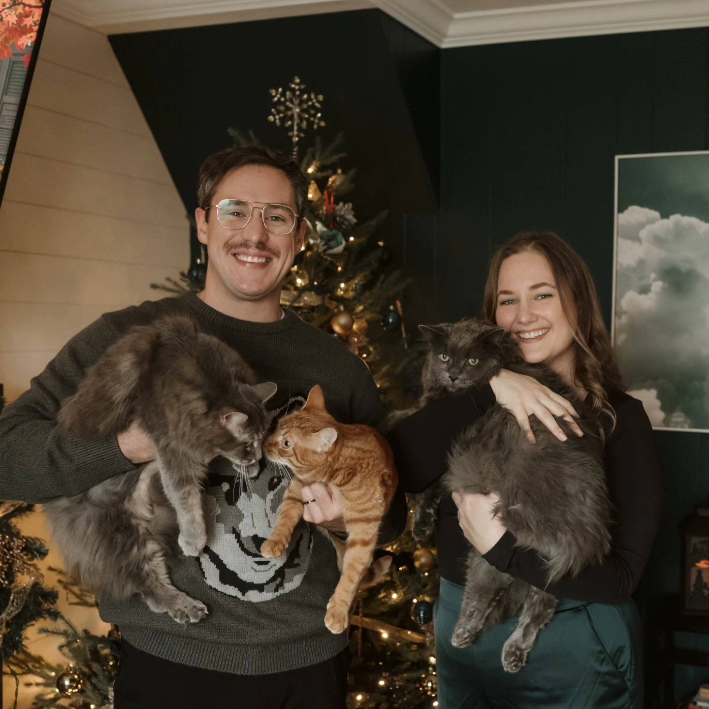 Merry Christmas & Happy Holidays from our family to yours!
Thank you to everyone for another wonderful year here at MoveWell! We are so grateful for all your support!
We are happy to share that you helped us raise $1000 for @friendsandferals cat rescue! Big shout out to my mom @pennylambert8919 who is the heart and soul of this. It wouldn't be possible without your talented knitting skills and passion for helping animals (especially kitties 😸).
Wishing everyone a happy, safe, and warm holiday season!