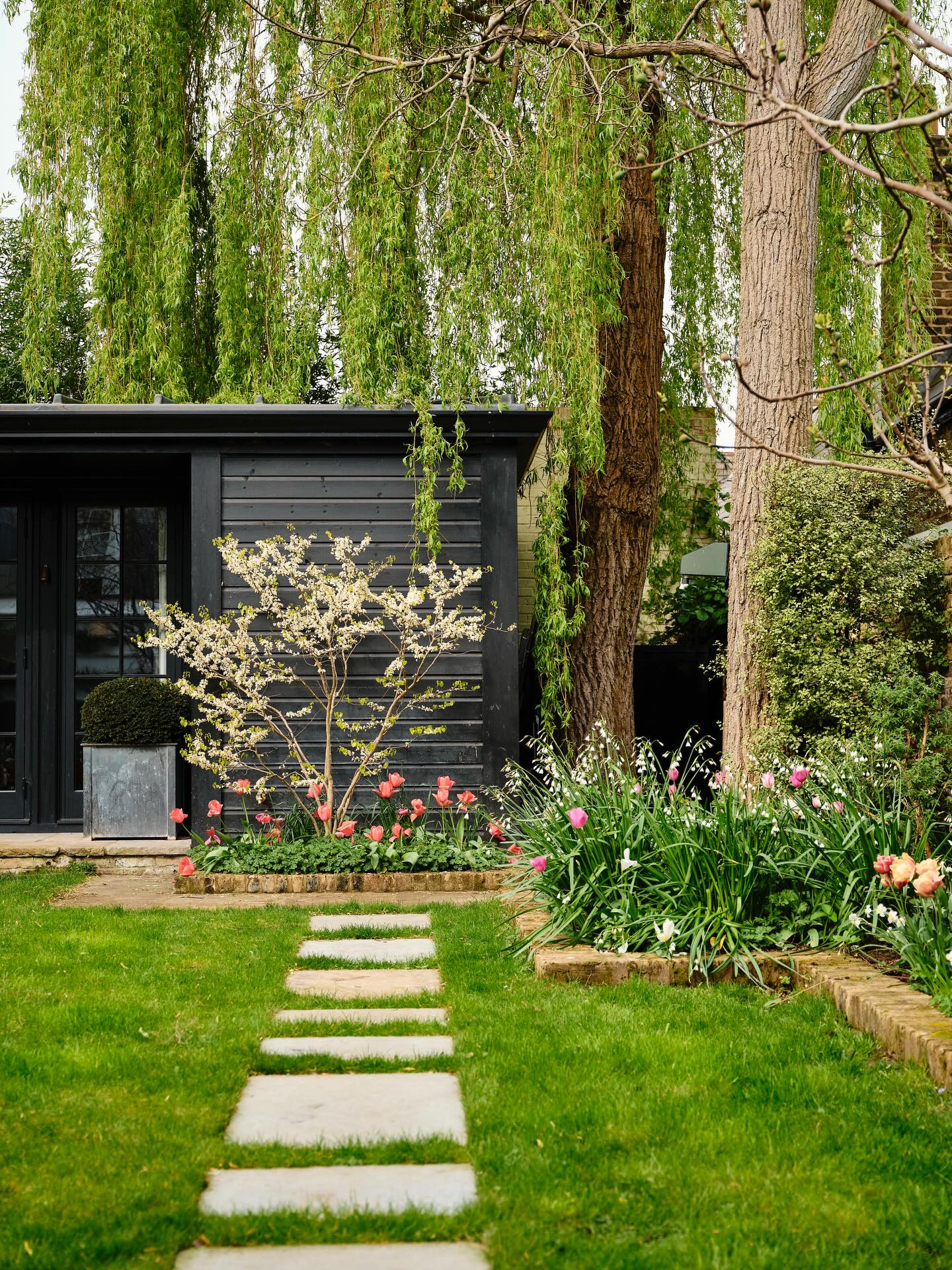 Showing another side of our Notting Hill garden and Cercis chinensis ‘Shirobana’ is the star of the show.
Photography by @dean.hearne #gardenphotography #landscapephotography #springgardens #springblooms