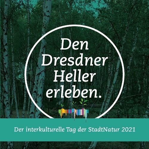 •Heller goes Interkultureller Tag der StadtNatur •
Am Wochenende (05. und 06. Juni) findet der interkulturelle Tag der StadtNatur (organisiert vom BUND) statt! Dieses Jahr sind auch wir dabei, gemeinsam mit dem KGV Hellersiedlung Nordhöhe.
Unsere Themenroute führt euch durch die Hellersiedlung und über weite Teile des Hellers.
Aufgrund der schwer einschätzbaren Pandemie-Lage haben wir für euch ein digitales Angebot für einen Hör-Spaziergang erarbeitet.
Ob ihr dabei die ganze Route lauft oder nur Teile davon - es gibt viel Spannendes zu erfahren!
An den Stationen findet ihr QR-Codes, die euch zu den Beiträgen leiten.
Schaut also vorbei! Mehr Infos unter:
https://www.dresdner-heller-erleben.com/tag-der-stadtnatur-2021