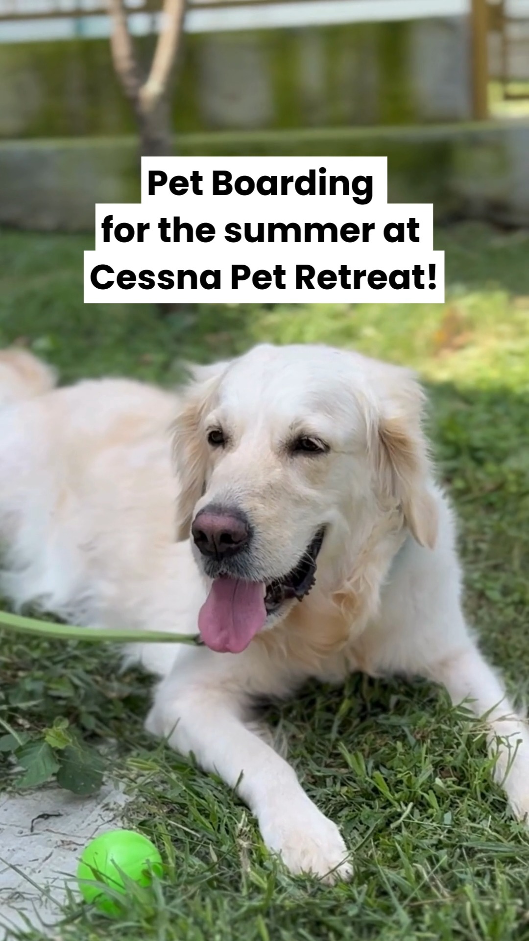 Not just pet boarding… this is your pet’s kind of holiday.
Open spaces, splash time, long walks, cozy corners, and a team that treats your pet like family — Cessna Pet Retreat is where happy stays happen. 💚
Because while you’re away, your furry deserves more than care… they deserve a pawsome pet boarding experience.
📞 Book your pet’s stay today — call 76196 34627!
#cessnalifelineveterinaryhospital #cessnalifeline #20yearsofcessnalifeline #cessnapetretreat #petboarding #petvacation #dogboardingindia #petresort #petparentsindia #dogsofindia