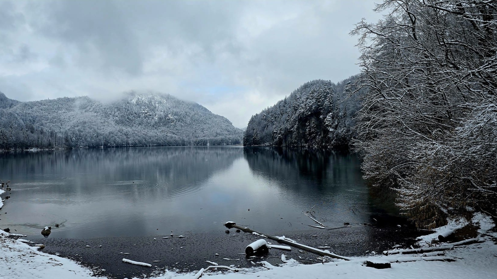As our TYs enjoy their trip to Paris this weekend, catch up on everything that our 5th Years got up to when they visited Munich. Read a full report and see a complete gallery on our website 🇩🇪