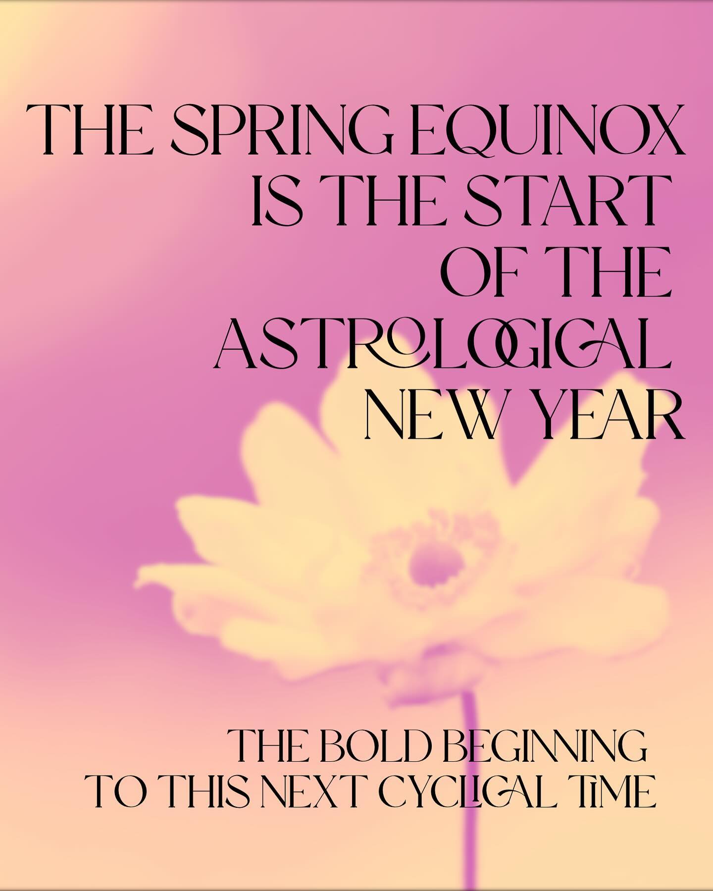 Happy New Year
.
.
.
#anscestors #ancestralwisdom #ancestralmedicine #astrology #astrologicalnewyear #aries #ariesseason #andromeda #andromedan #andromedagalaxy #release #newbeginnings #change #karmichealing #karmicastrology #karmicreleasing #venus #venustraverse