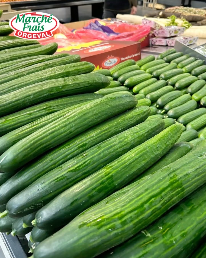 Le concombre français 🥒 🇫🇷
Croquant, léger, frais le concombre est l’allié parfait pour démarrer le Printemps dans vos assiettes.
Pour vous inspirer en cuisine, on vous propose 4 idées de recettes faciles à réaliser :
• Tzatziki maison bien frais
• Bagel fromage frais, truite fumée, concombre et ciboulette
• Salade de concombre au yaourt grec
• Rouleaux de printemps au concombre
Et vous quel recette vous inspire le plus?
#concombre #marchefraisorgeval #orgeval #ideerecette #mangersain