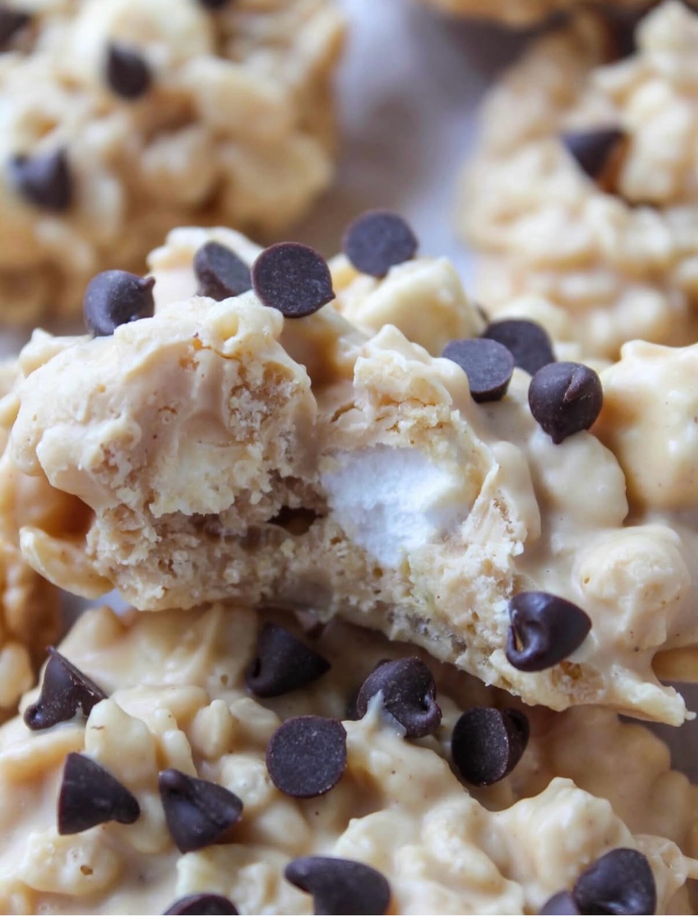 Have you tried our PROTEIN AVALANCHE COOKIES yet?! 👀
If not… you are seriously missing out!! 🤤
And for those of you who have had them—you already know exactly what we’re talking about!! 🙌
Do yourself a favor… grab TWO (trust us on this one 😉).
You won’t regret it!