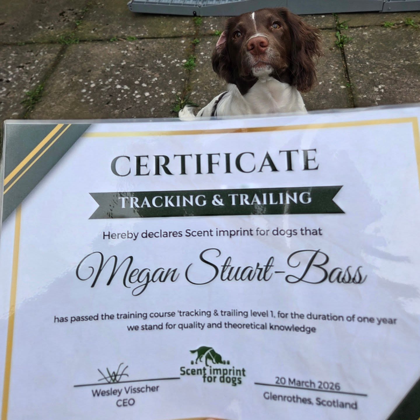 My first course with Nell, and what a way to start our journey together. My brain is still full of all the information and benefits of combining tracking and trailing and seeing all the ways I can build on the solid foundations we did this week. And all the ways I can take this to help my current tracking and mantrailing clients.
I was so proud of Nell in every moment, from the course itself and how amazing she was, to generally being away for the first time with me for a work related event, staying in two different places, and for the most part coping so well with those pesky shadows!
Thanks to @k9manhunt for organising and of course to Wesley @scentimprintfordogs for his knowledge and his ability to balance giving us the information and guidance but also forcing us to think for ourselves because ultimately we are now alone to practice ourselves until the next time.
Also, no pressure when you're told you've got gold in your hands with your dog. Lets get going then Nell β€οΈ