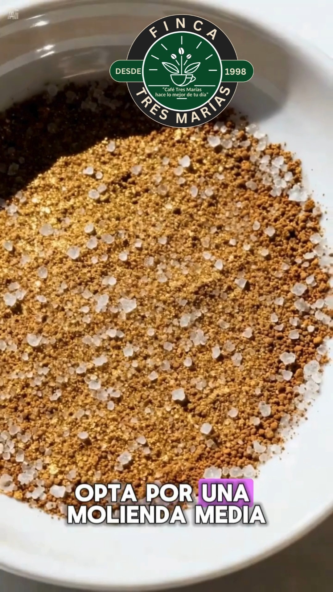 Si tu café queda amargo… no es el café 👇
Son pequeños errores que casi todos cometemos.
En nuestro manual te enseñamos:
☕ Cómo preparar café perfecto en casa
☕ Métodos fáciles (filtrado, moka, cold brew y más)
☕ Tips para que siempre quede aromático
🎁 Te lo enviamos GRATIS
👉 Escríbenos “MANUAL” por WhatsApp