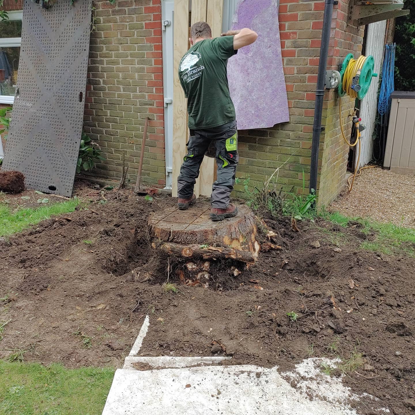 Eucalyptus we removed this afternoon she was deep but we got it all in the end.
All ready for landscapers to come in and lay the new patio