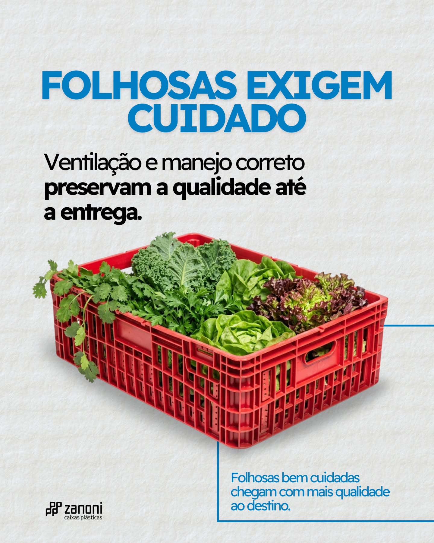 Folhosas são delicadas — e cada detalhe no transporte faz diferença na qualidade final.
A ventilação adequada e o manuseio correto evitam o acúmulo de umidade, reduzem danos e preservam o frescor até o destino. 🥬
Com as caixas plásticas ideais, você garante melhor circulação de ar, organização na carga e mais segurança em todo o processo.
Resultado? Produtos mais frescos, menos perdas e clientes mais satisfeitos.
Invista em quem entende de transporte eficiente para hortifruti. 🚜📦
📲 Fale com a gente e leve mais qualidade para sua operação.
#hortifruti #logistica #qualidade #transporte #caixasplasticas
