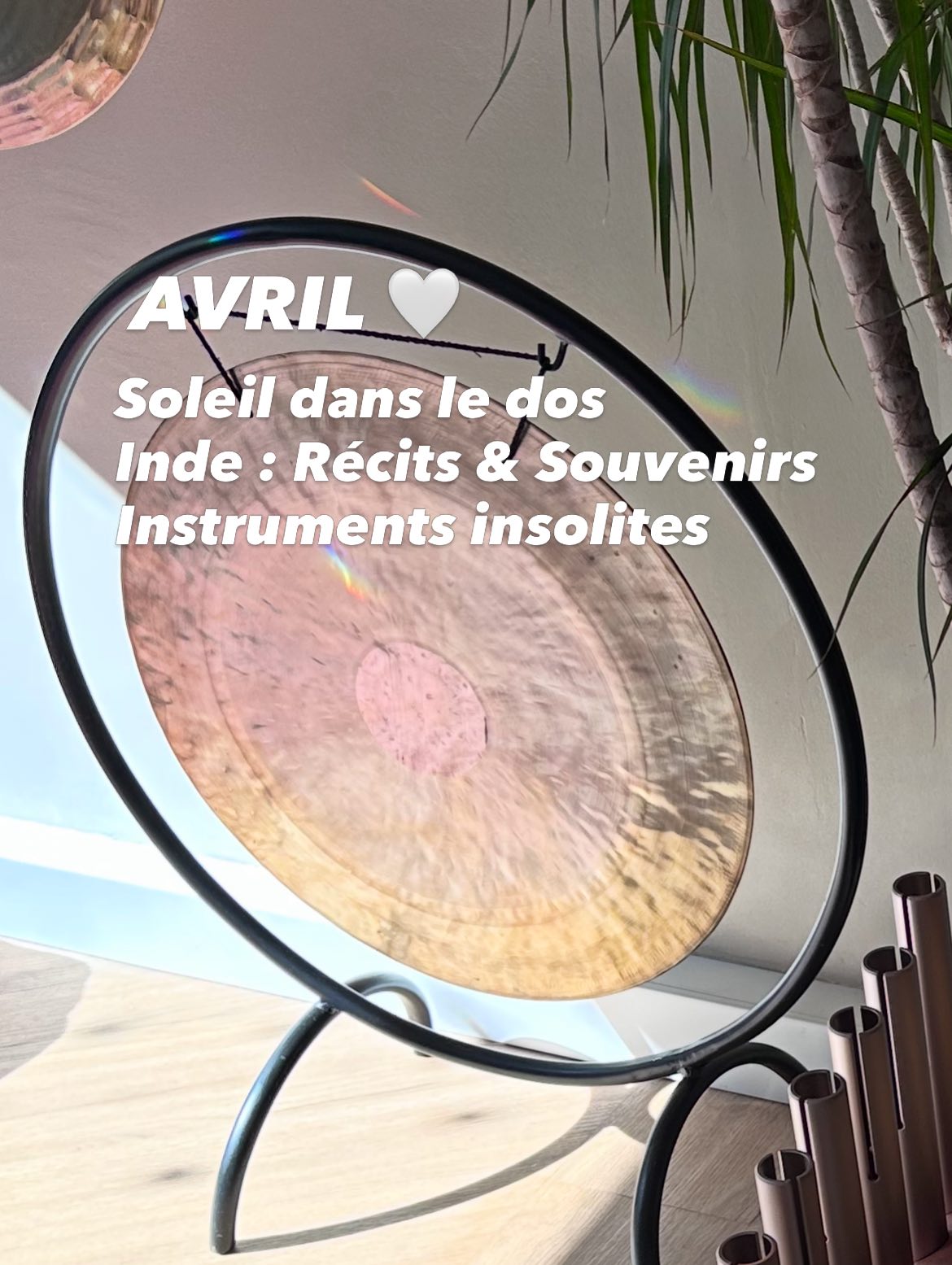 AVRIL 🌸 Soleil dans le Dos
En avril nous vous proposons un programme qui fait le pont entre la précision du corps et la magie de l’Inde. Entre neurophysiologie et immersion sonore, préparez-vous à voyager.
Au programme
✨ Samedi 11/04 à 11h STAGE « Soleil dans le dos ». Une exploration complète des postures d’extension. Comprendre la neurophysiologie pour mieux ouvrir son cœur, pratiquer le relâchement myofascial et trouver sa variante idéale.
📸 Samedi 18/04 à 18h RENCONTRE Abonnés - Retour d’Inde. On vous raconte tout ! Un moment de partage convivial autour des récits et des souvenirs photos et vidéos. On se retrouve pour une escale virtuelle ?
🎶 Samedi 25/04 à 11h ATELIER sur les Instruments. Le dernier chapitre de notre série indienne. Venez découvrir et écouter l’histoire d’instruments rares et fascinants. Une expérience inédite pour clore ce cycle en beauté.
Et chaque semaine 🧘♂️ Retrouvez nos séances régulières de yoga, respiration ou méditation ! Les séances de HandPan et les Bains de Gongs vous invitent à vous ressourcer en profondeur.
Inscriptions 📍 Toutes les séances sont déjà disponibles sur le planning en ligne sur notre site www.soundyoga.fr Les places sont limitées pour préserver la qualité de l’expérience.
Au plaisir de vous retrouver sur le tapis et dans la vibration du son ✨
@soundyoga.fr
#soundyoga #compiegne #yogaduson