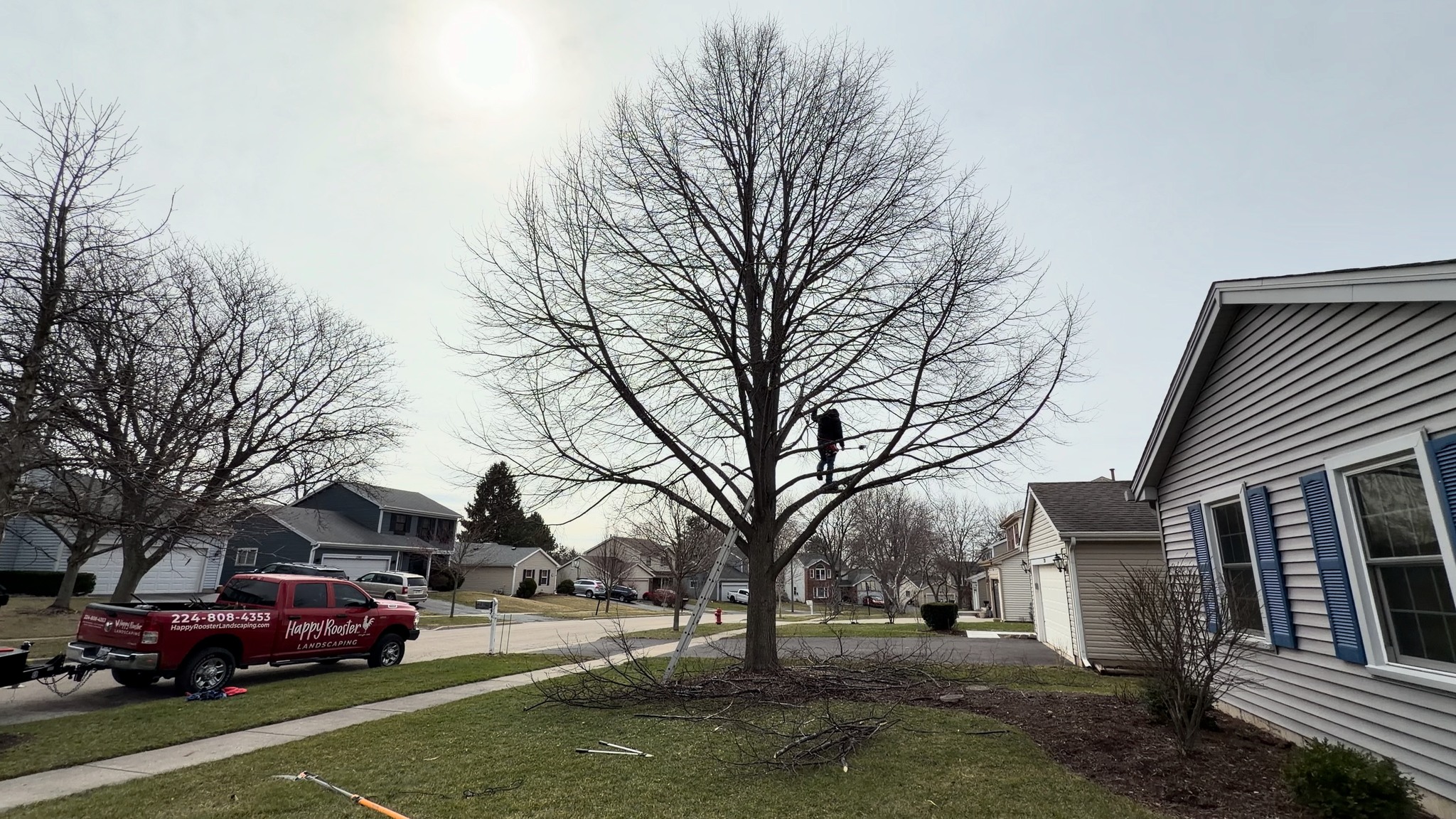 A little trimming goes a long way. More light, better shape, and a cleaner overall appearance.
www.happyroosterlandscaping.com
#happyroosterlandscaping #SupportLocal #CrystalLakeIL #treetrimmimg