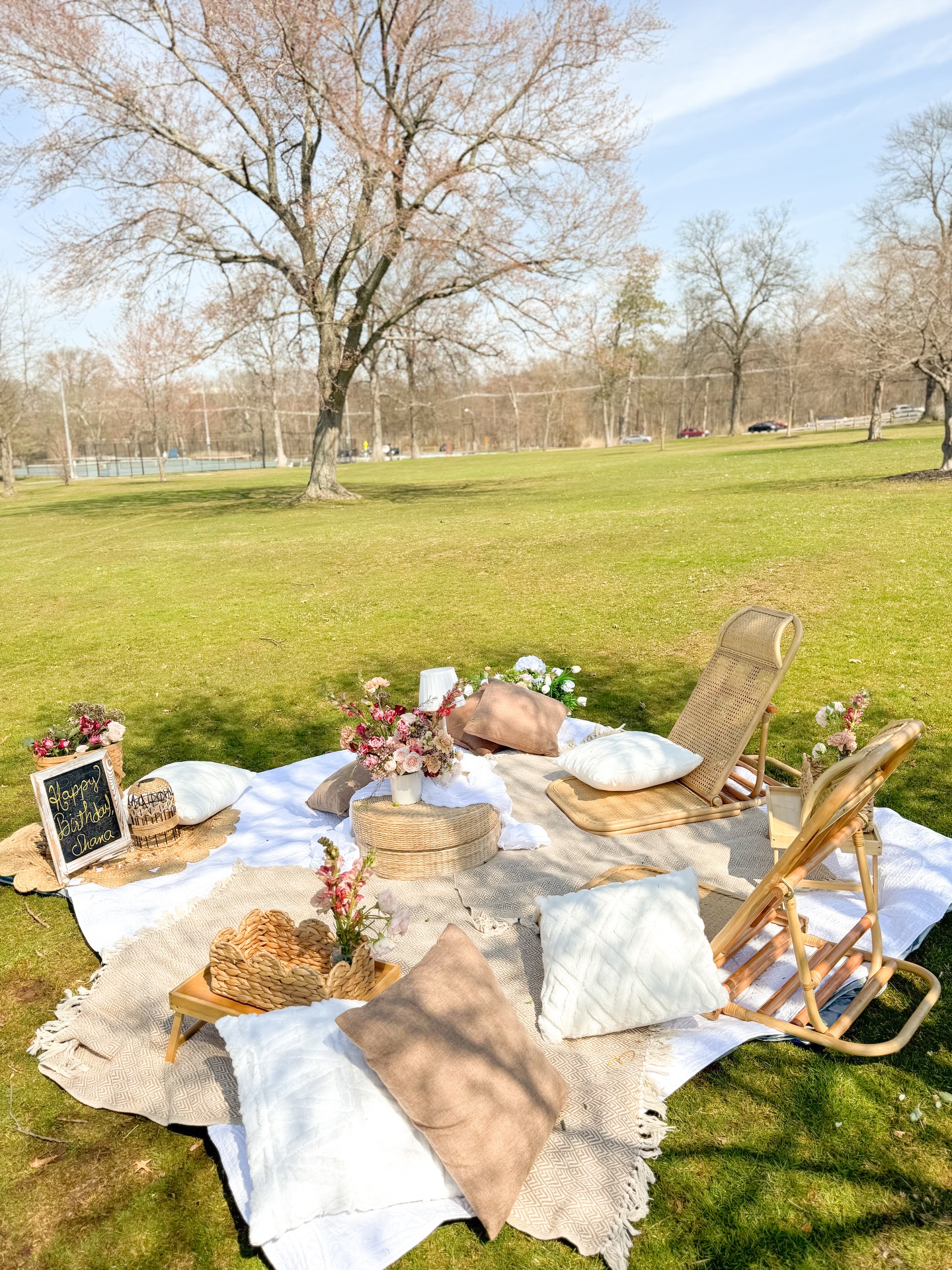 Just a luxury picnic at the park but in a classic setup.
#luxurypicnic #picnic #picnicinthepark #flowers #centerpiecesideas
Picnic in NYC, picnic in NJ,