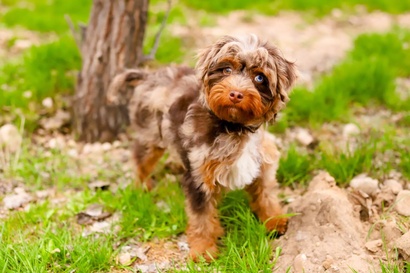 Feels like Spring! ๐