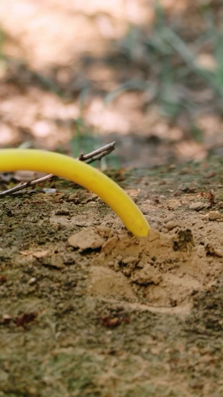 Early control makes all the difference. Protect your crop before rodent pressure turns into real damage.
Give us a call to get started.
๐ North & Central Valley: (209) 564-8207
๐ South Valley: (559) 395-2537
#RodentControl #AgServices #cropprotection #orchardcare