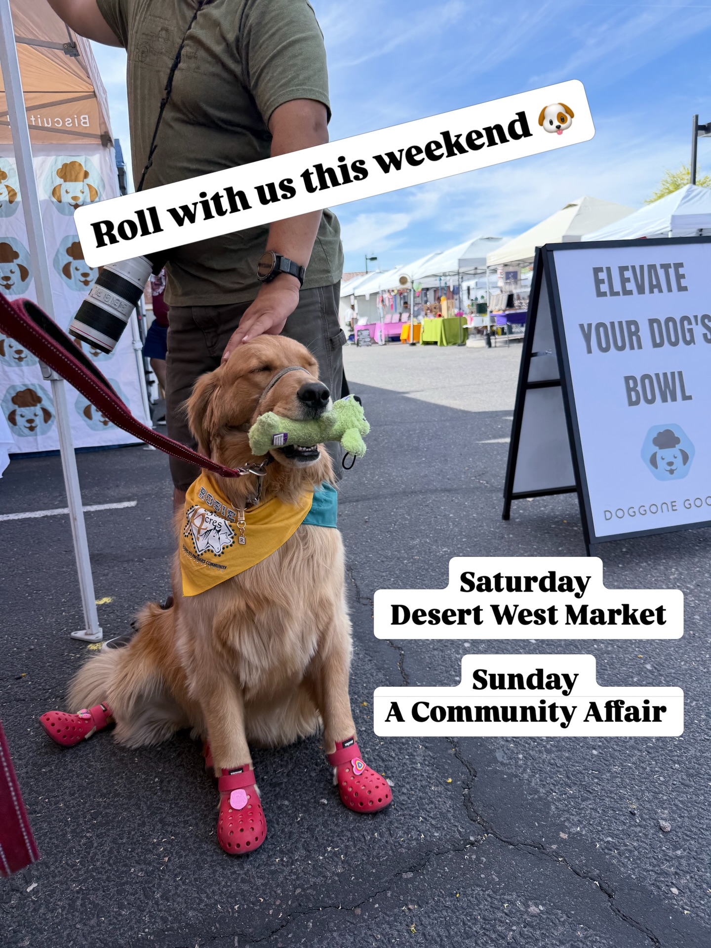 This weekend = treat restock time 🐶
If you’ve been meaning to grab more, this is your sign—our best sellers will be out and they go fast.
We’re bringing fresh batches, but once they’re gone, they’re gone.
Don’t wait till the last hour… that’s when choices get slim.
Come early, stock up, and keep your pup set for the week 👇
#dogtreats #farmersmarketfinds #shoplocalaz #dogsofinstagram #petparents