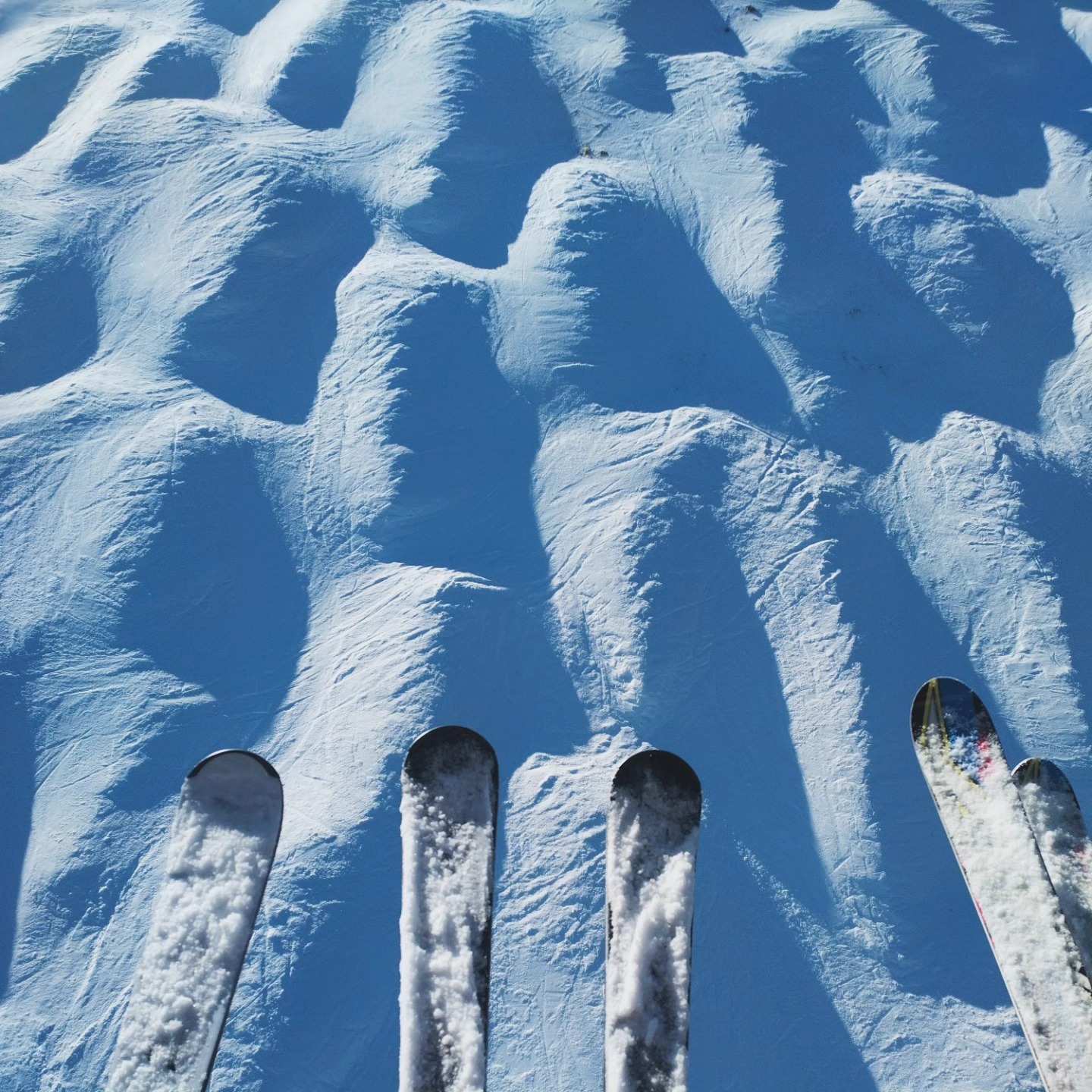 today was a fun bumpy day
#skiismylife #stöckliski #wintersport #skischulewerfenweng #sportalpinwerfenweng #awonderfullife