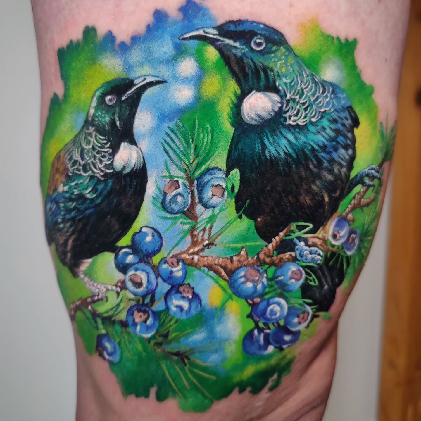 Cute tattoo representing parents (Tuis) and daughter Juniper. Always looking after her. This tattoo is for Mum. Dad got the same tattoo but different style. Painterly realism vs. watercolour. Will post tomorrow. Thaaaanks team.
.
...
.
@intenzetattooink @eztattooing @ghostlineapp @afterart.newzealand @inkpro_nz @fkirons @hustlebutterdeluxe #intenze #intenzeink #intenzeteam #afterart #ghostlineapp