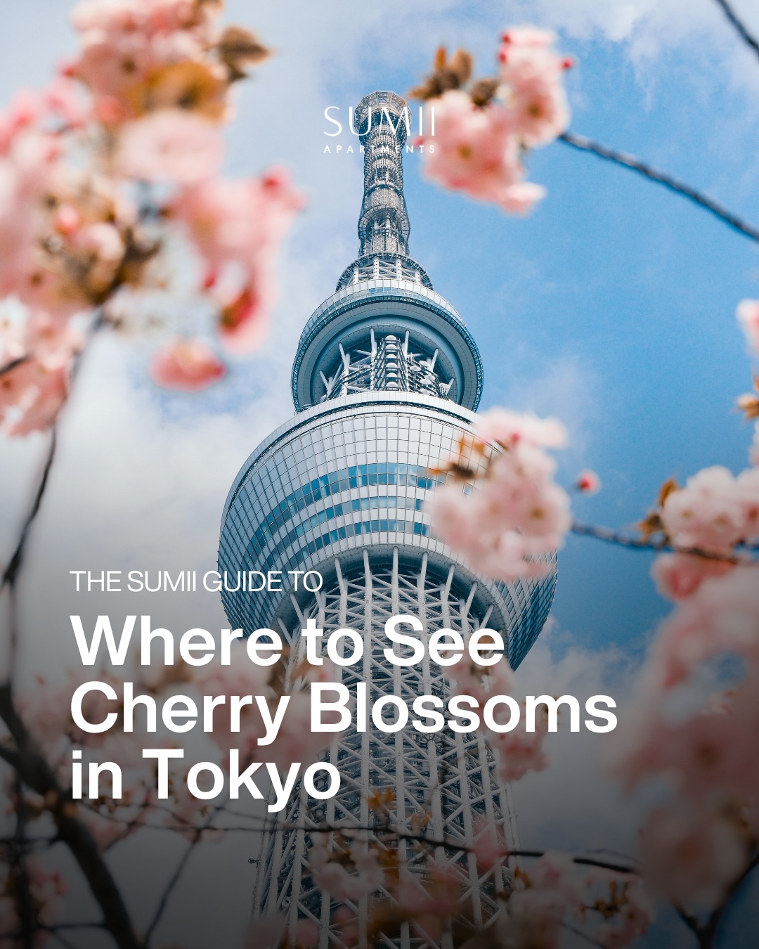 The cherry blossom season in Tokyo is a shift in the city’s collective spirit, marking the transition from winter to spring. Right now they’re in full bloom, and will be for another 3-5 days.
Whether enjoyed under the midday sun or at night as yozakura (night sakura) illuminated by lanterns, the season is a reminder to pause and experience the fleeting beauty of life.
Here are a few of our favourite spots around Tokyo to experience the sakura.
🌸🌸
At SUMII, we provide move-in ready premium apartments that allow you to experience these seasonal rituals like a local. Located in Tokyo’s most liveable neighborhoods, our residences offer a calm, high-design retreat from the city’s peak-season energy.
* Central locations with immediate access to Tokyo’s best viewing spots
* Flexible lease terms suited to modern professionals and remote workers
* One simple monthly fee that covers everything from high-speed WiFi to utilities
* No key money or agent commissions—just a seamless move-in experience
How are you planning to spend your cherry blossom season this year?
#livesumii