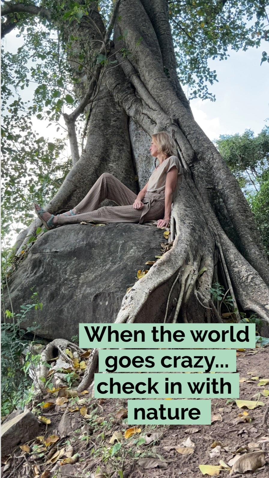 💚 A big green hug from me to you. 💚 #naturalcalm #naturalremedies #natureheals #wearenature #pause
