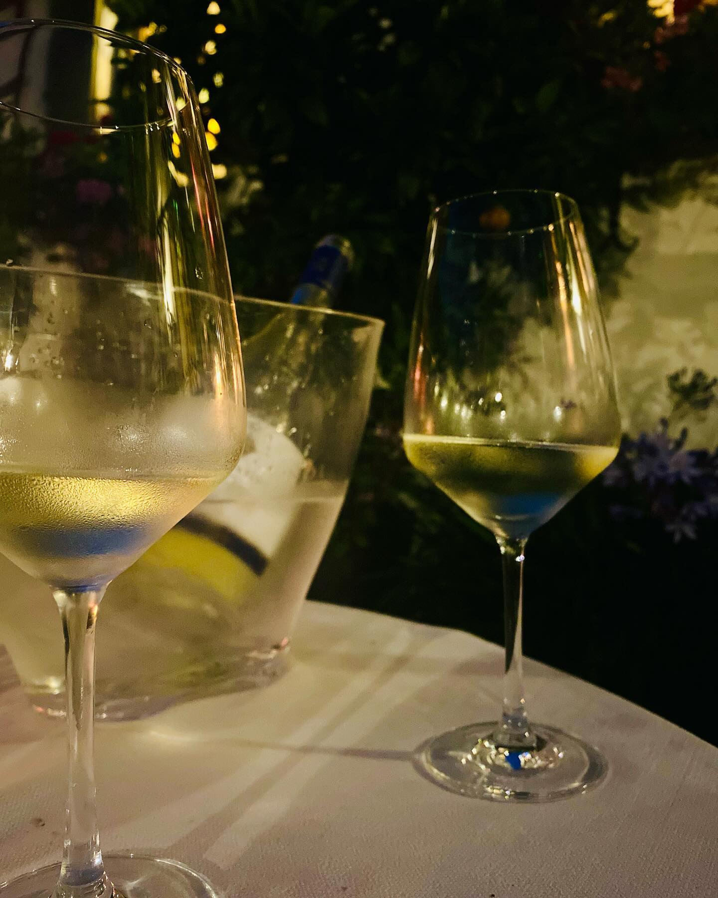 Oder einfach mal nur auf eine schöne Flasche Wein #perfekterabend #dassindwir #einfachgut #geniessenimgarten #romantischergarten #biergartendachau #dachauhandelt #schönerbiergarten