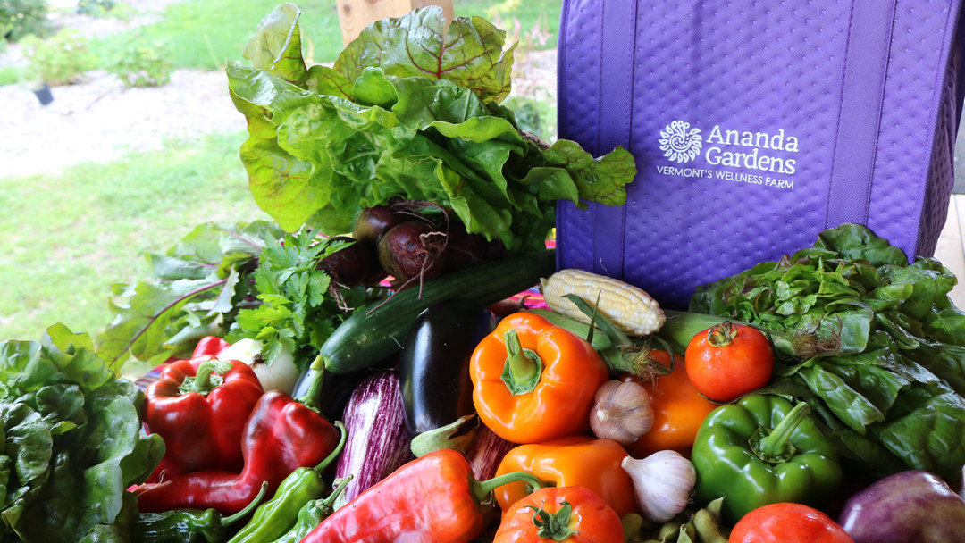 Summer Sing Ups are Open! Sing Up for your CSA Today! Fresh, local and delicious veggies conveniently delivered or at our beautiful Farm Stand. Be part of our farm community!
