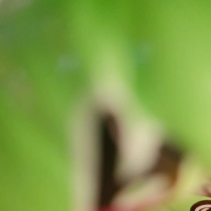 Our 1880 Bellows is in action for Andrew & Sophie's wedding reception at Pendrell Hall venue! They've chosen our Fence with Fairylights pillowcase backdrop along with a good choice of fun props. 🥳✨
fellsfunbooth fellsfotos teamfellsfotos vintage weddingreception photobooth photobooths photoboothwedding photoboothhire photoboothparty photoboothideas wedding weddings weddingday weddingsplanning weddingguest weddingvenues weddingplanners weddingreceptions weddingreceptionvenues weddingreceptionfun weddingreceptionsetup weddingreceptionideas fun props