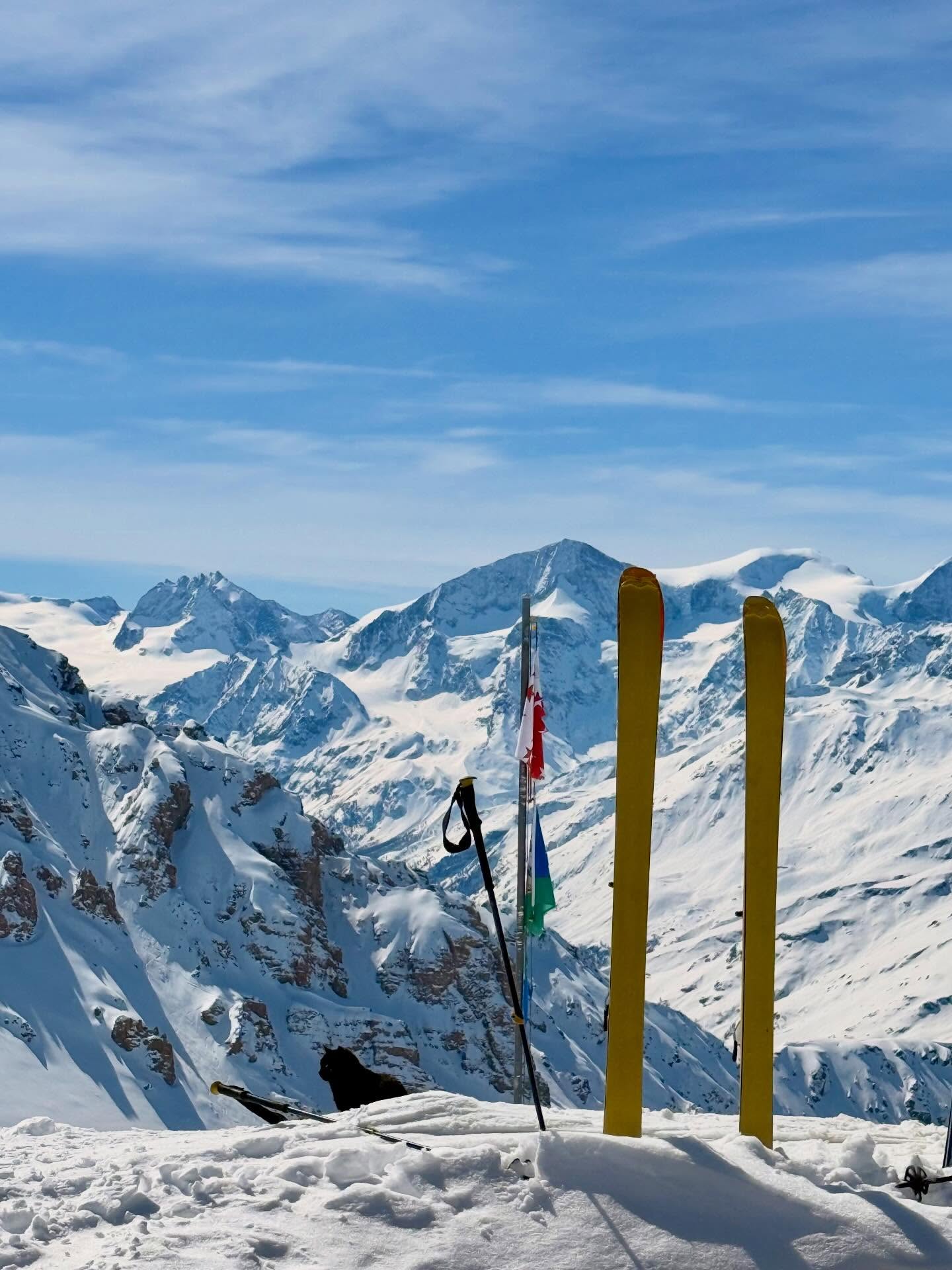 ✅ Sunshine ✅ Spring freshies
✅ Skis given the ok by the highest 🐈⬛ in the Alps
@cabanedesbecs
#springpowder #skidate #sasseneire #snowcatskiing