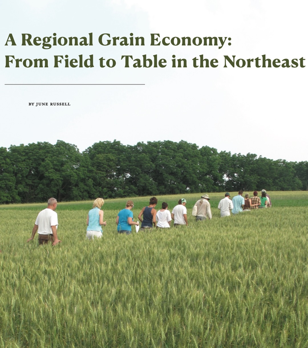A big thank you to June Russell and our friends at @glynwoodorg for this lovely and powerful article about the blossoming world of growing grains in the Northeast.
🌱Did you know that there are now 15 commercial mills in the northeast? (And growing!) We are grateful to highlight the changemakers in our community making it happen from field to fork.
🍞Bread brings us together and by supporting local farmers, millers, and bakers, we are supporting greater resilience in our bioregion.
📸Image credit: June Russell and @glynwoodorg
.
#organicfarming #NOFA #thenaturalfarmer #regenerativefarming #grains