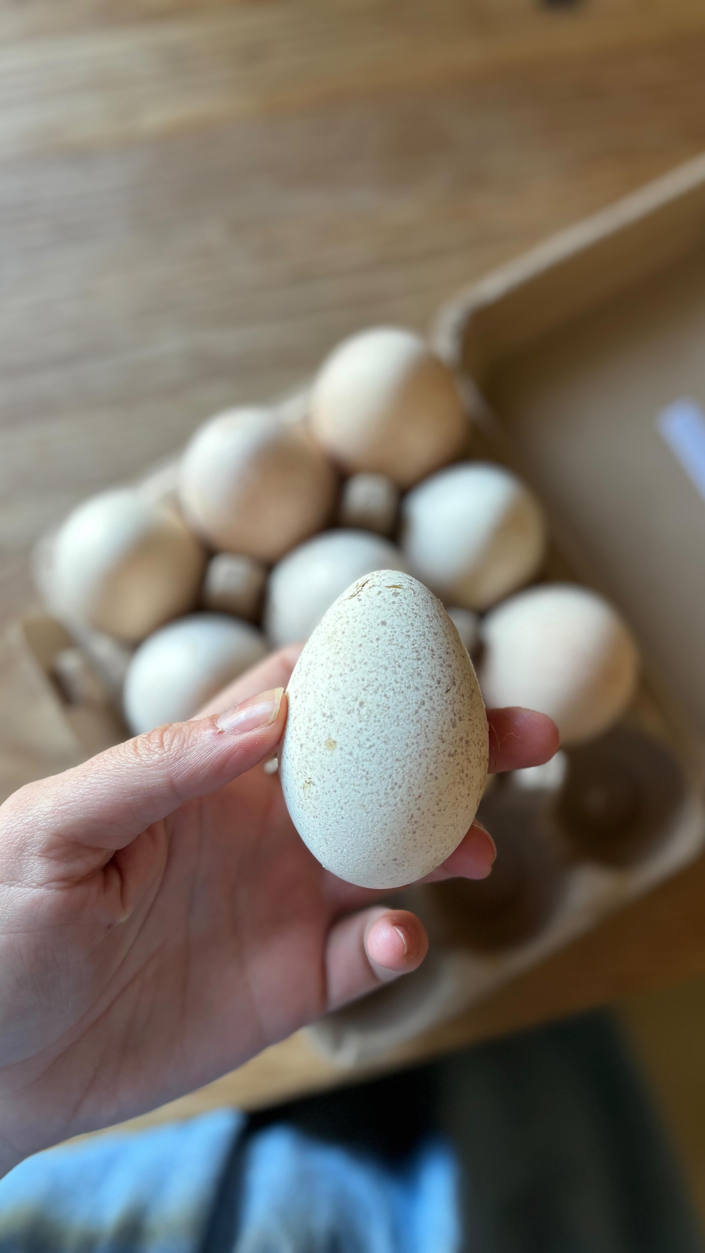 Did I get you? đ€Ł Iâve gotten more than a few comments on my bulk food closet when people spy ketchup instead of me making it. Look I am not trying to fool ya!
And I have zero shame in saying⊠I buy ketchup. By the case. I buy other things I âcouldâ make if the time was there to do it all, but itâs not.
This reel is obviously sarcastic, but if youâre in the homesteading world, you know it can feel like that sometimes. Even the pressure we put on ourselves. Like every single thing has to be done from scratch or youâre somehow doing it wrong.
But one of the best parts of living this way is that weâre not doing it alone like they did in pioneer days. We have access to stores and we have options!
Yes, weâre trying to save money.
Yes, we care about feeding our families well.
Yes, homesteading is a financial commitment and for us we canât just have animals to have them.
But that doesnât mean doing everything, all the time. Different seasons call for different things guys.
Sometimes we make it && sometimes we buy it.
Youâre not a fraud for that you are just living real life
#homestead #farmlife #country #fromscratch