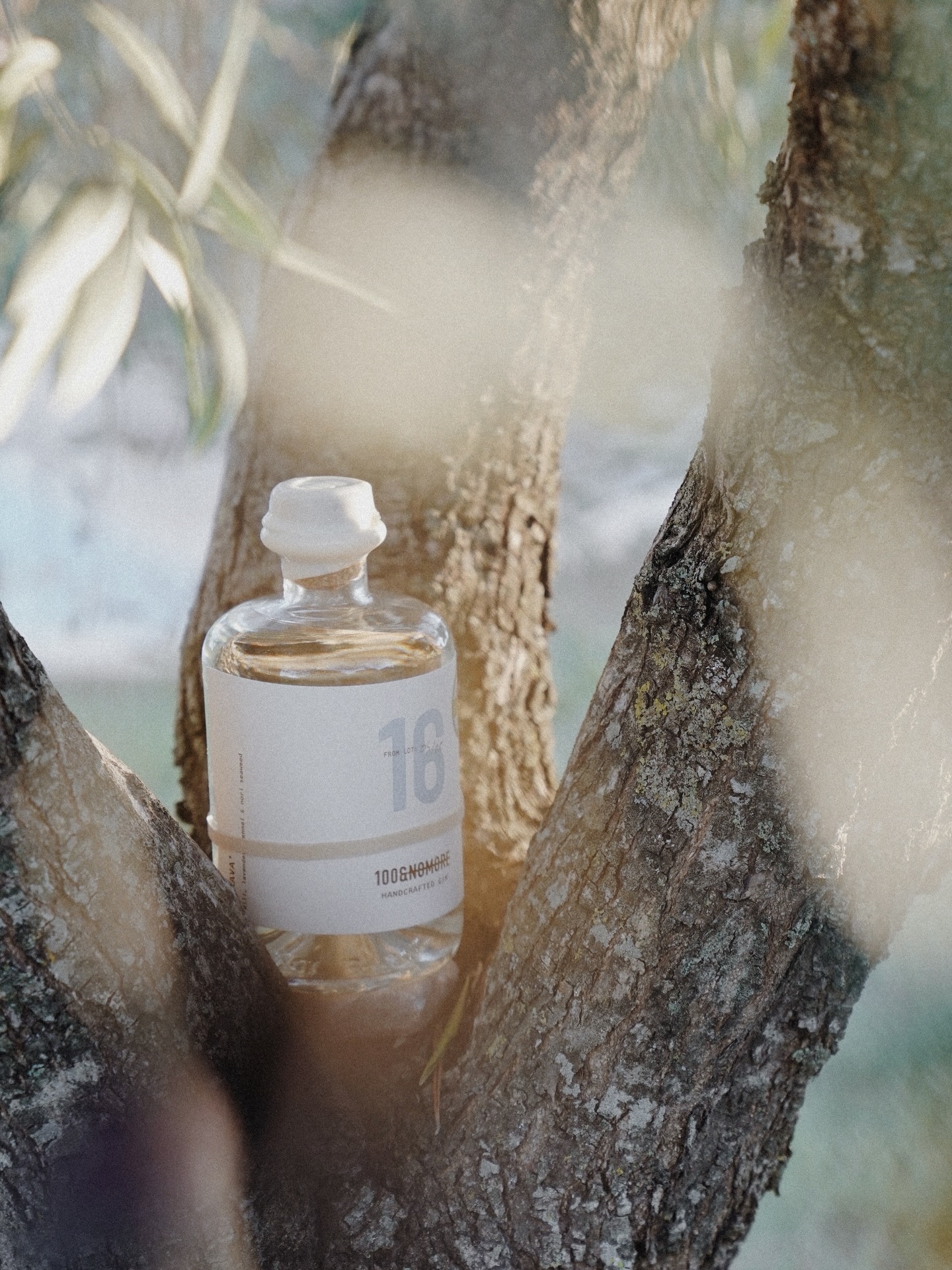 Se acerca la primavera y con ella nuestro Gin Brava cobra protagonismo. Nos transporta al Mediterráneo: a la brisa tranquila, a los olivos y a la frescura que anuncia los días largos y luminosos 🫒🌿