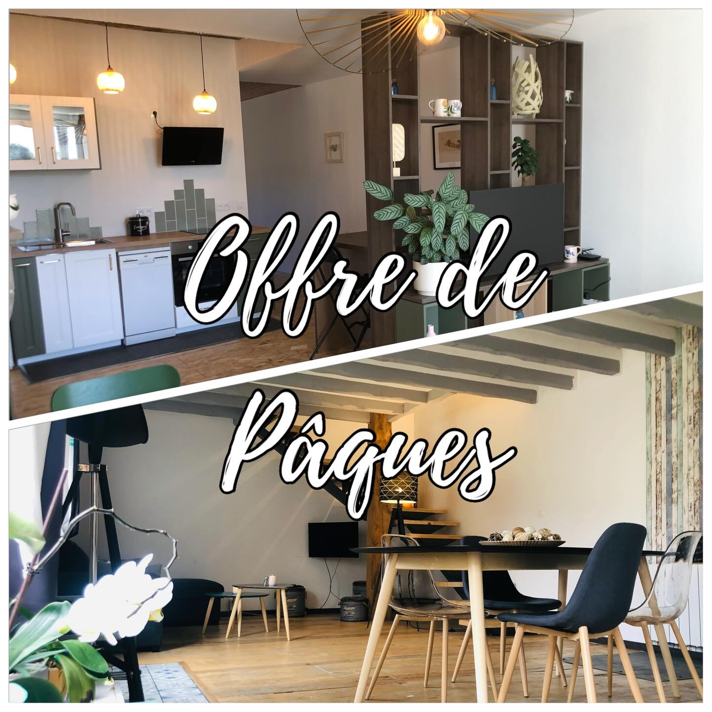 🌹 Parenthèse gourmande de Pâques 🌹
Nos gîtes Le Cocon & L’Escapade vous accueillent pour une pause nature et calme 🌿
✨ - 10% sur votre séjour + 🍫 gourmandise offerte
🎟️ Code : PÂQUES
⚠️ Pour un WE du vendredi 3 au lundi 6 avril 2026, soit 3 nuits
👉 Réservez vite : contactez nous en DM
#offre #paques #gites #weekend