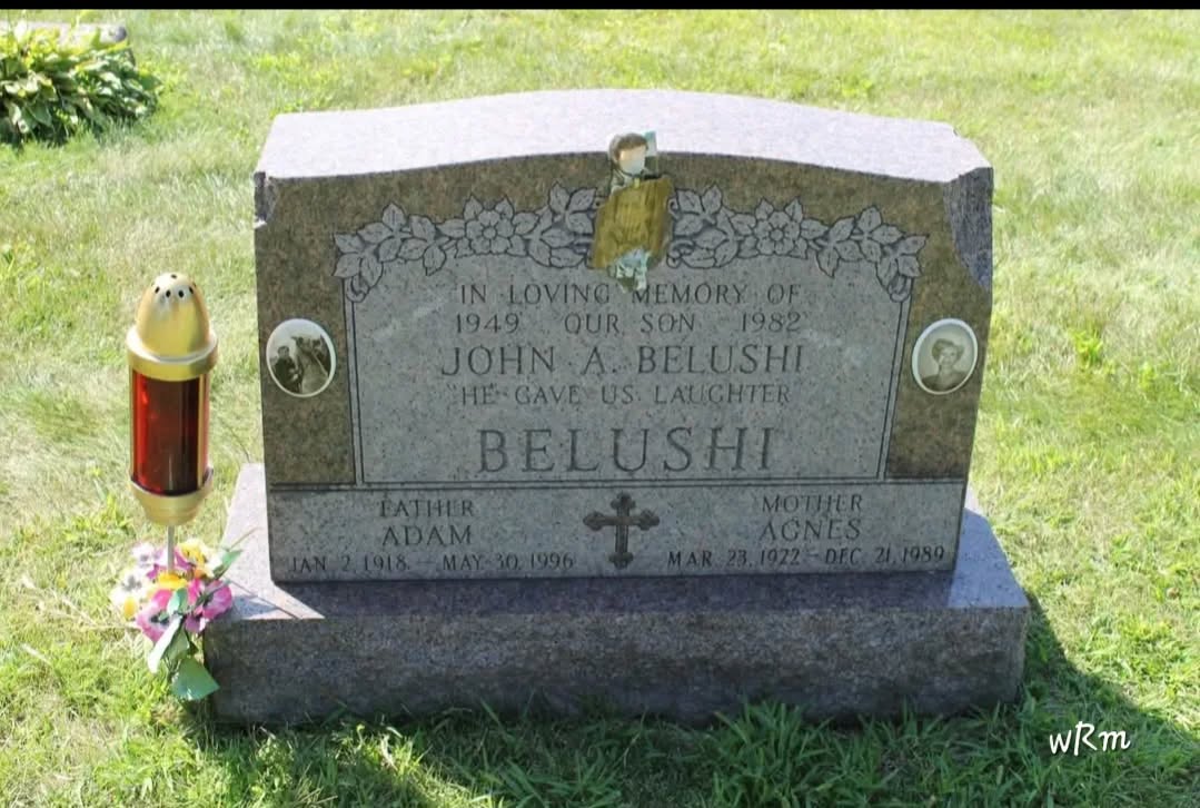 Elwood Cemetery, River Grove, IL
This is the grave of Belushi's parents in the Chicago burbs. They included this memorial to him on their headstone.
John is buried in Martha's Vineyard, MA .
#cemeteryphotography #tombstonetravels #chicagocemeteries #belushi #taphophiles_only