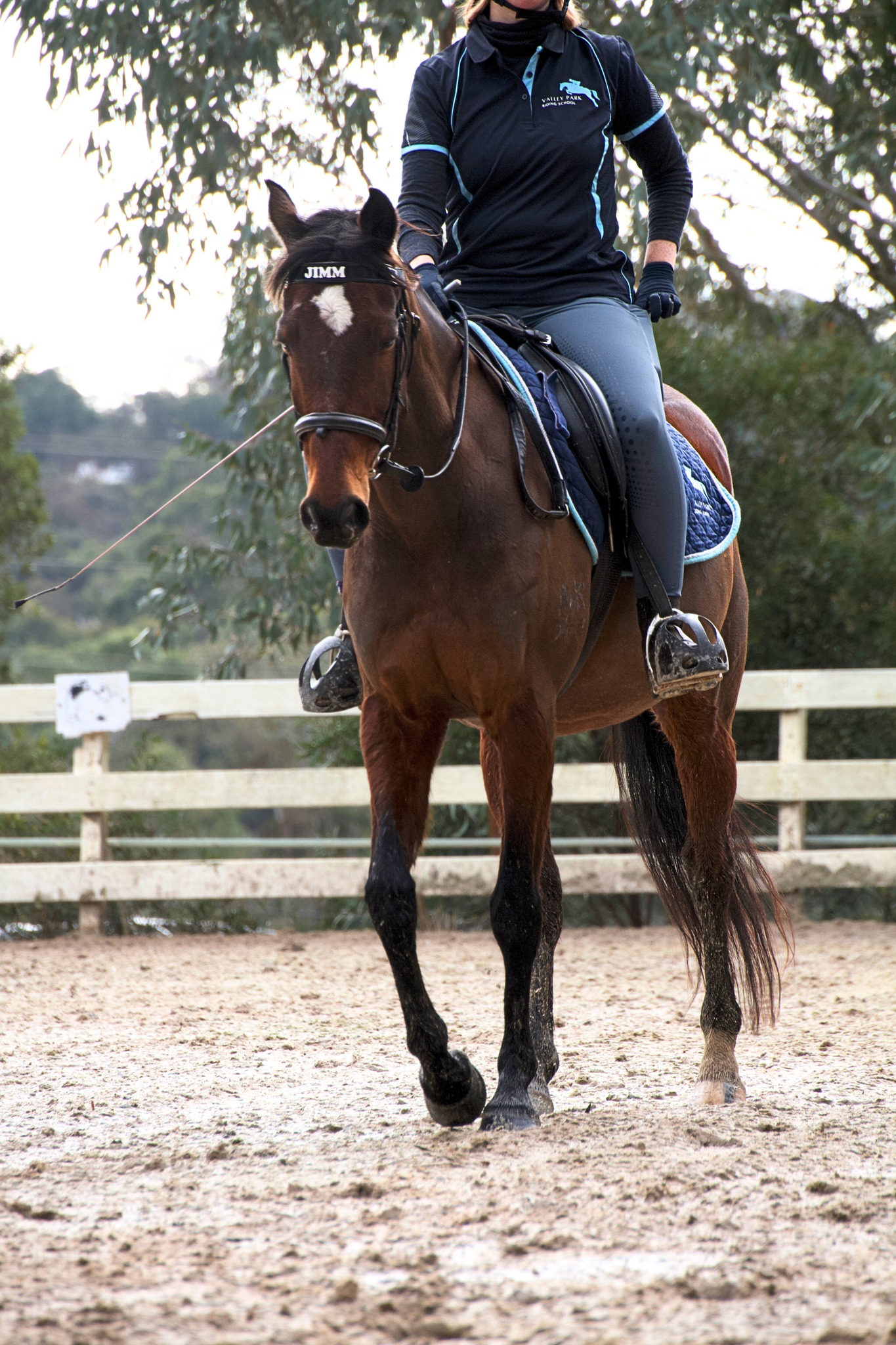 Meet Popcorn, our very own resident unicorn 🦄