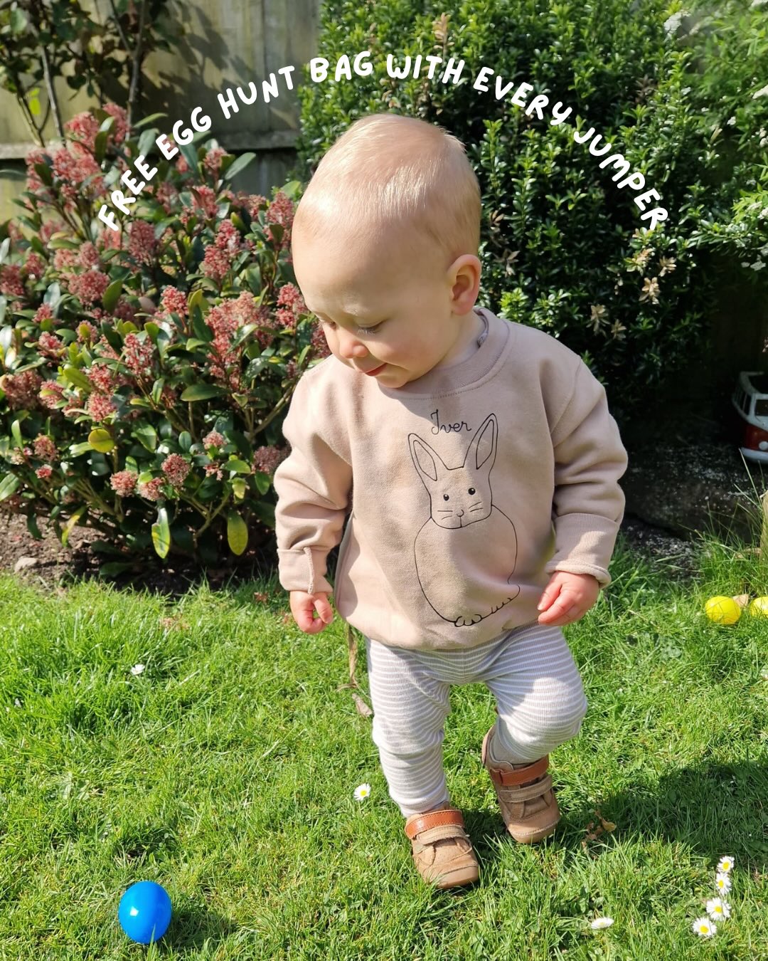 Little Iver exploring in the garden 🐇