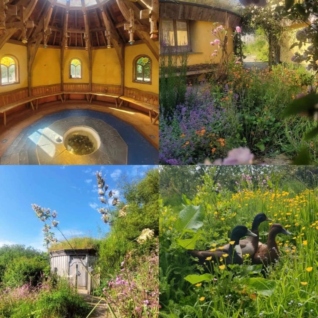 Thank you all for supporting us for another eventful and exciting year here at Felin Uchaf ~ We can't wait to see what the next year brings! 🌱
...
Diolch i chi gyd am eich cefnogaeth dros y flwyddyn! Edrychwn ymlaen at be sydd i ddod dros y flwyddyn nesa!