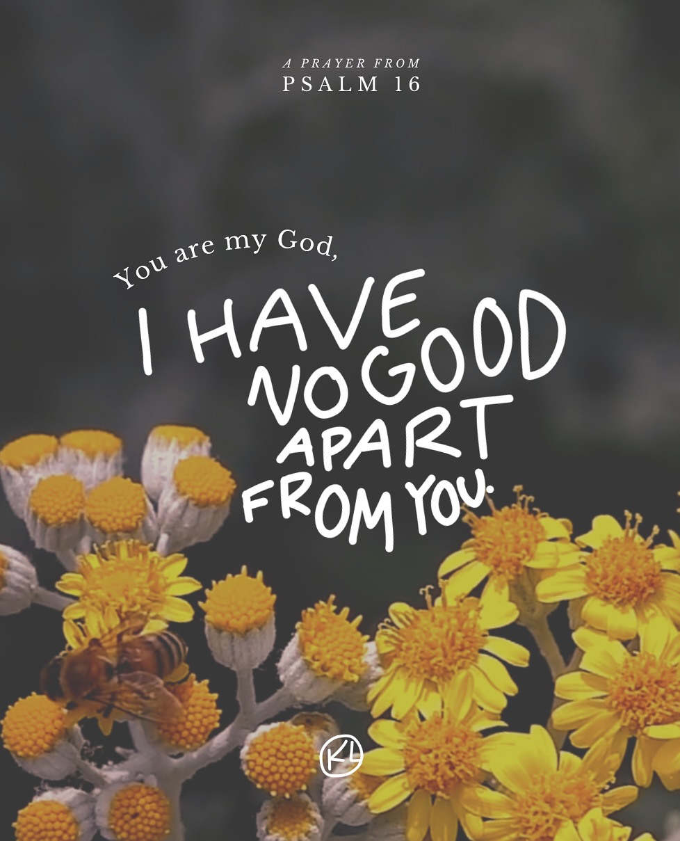 Can you tell I love the Psalms? The hunger of my soul is only filled at the table of my God. Continuing the Lent Series #HolyHungers.
Stay tuned for more poetry from me and @sarahsparksmusic .
But for now, chew on Psalm 16.
…
Psalm 16
Preserve me, O God, for in you I take refuge.
I say to the Lord, “You are my Lord;
I have no good apart from you.”
As for the saints in the land, they are the excellent ones,
in whom is all my delight.
The sorrows of those who run after another god shall multiply;
their drink offerings of blood I will not pour out or take their names on my lips.
The Lord is my chosen portion and my cup;
you hold my lot.
The lines have fallen for me in pleasant places;
indeed, I have a beautiful inheritance.
I bless the Lord who gives me counsel;
in the night also my heart instructs me.
I have set the Lord always before me;
because he is at my right hand, I shall not be shaken.
Therefore my heart is glad, and my whole being rejoices;
my flesh also dwells secure.
For you will not abandon my soul to Sheol,
or let your holy one see corruption.
You make known to me the path of life;
in your presence there is fullness of joy;
at your right hand are pleasures forevermore.