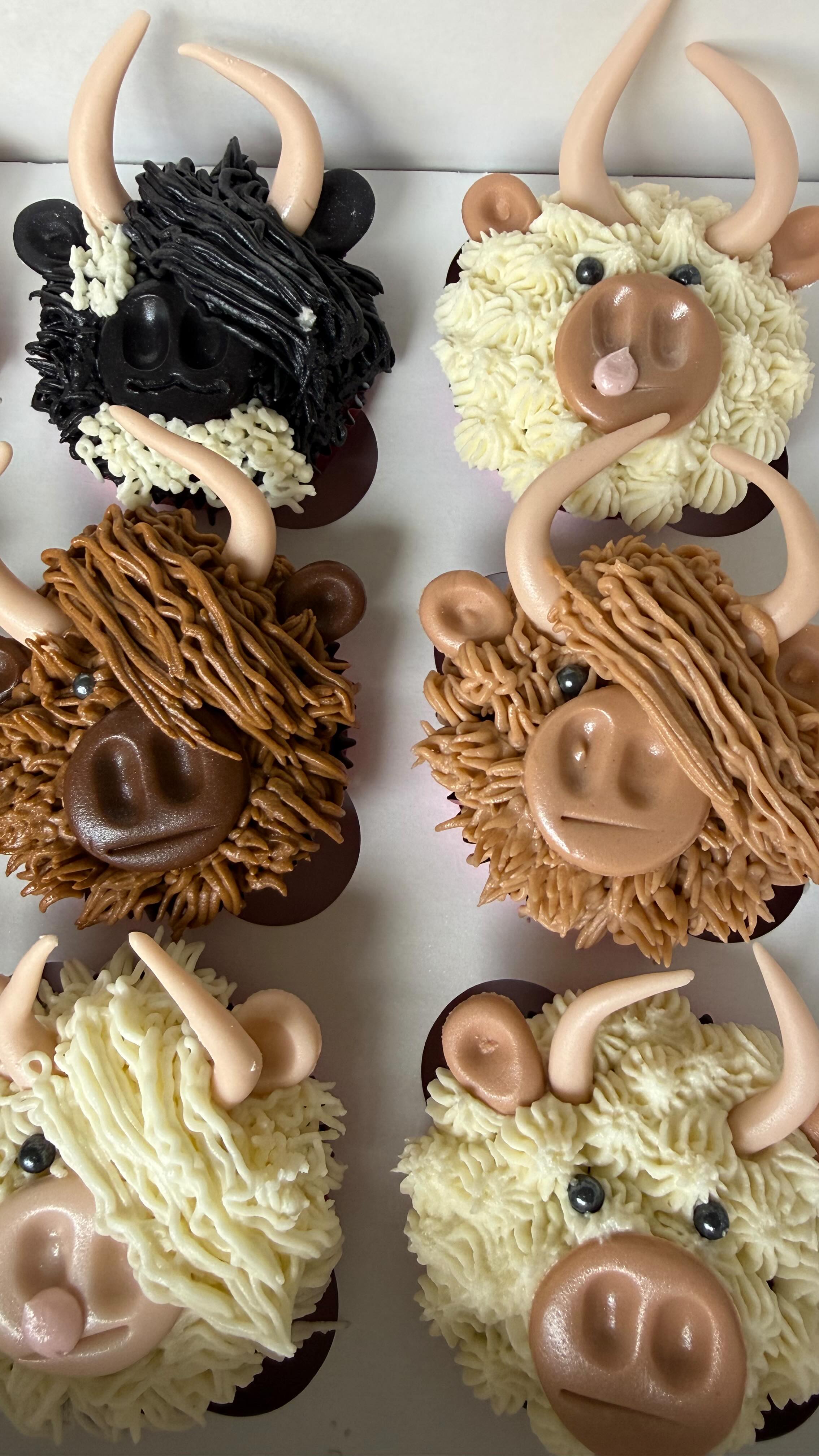 Just a few Highland cows for a "Holy Cow I'm 30!" Themed birthday party. I never knew these type of cows had a name, I learn something new everyday๐