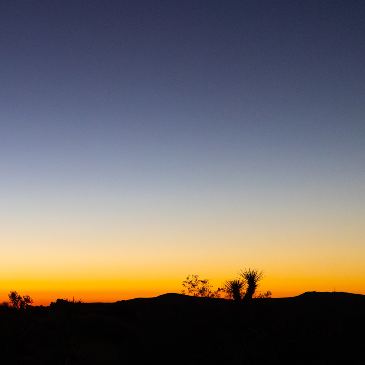 (1 of 3) Joshua Tree Sunrise Photo. This was my favorite image from a recent adventure to Joshua Tree National Park. We made a video about this on our Youtube Channel @DesignShootBuild, We share behind the scenes and tips for what heart to take out on a trip like this. @canonusa #landscapephotography, #picofthday, #fineartphotography, #joshuatree, #sunsetphotography