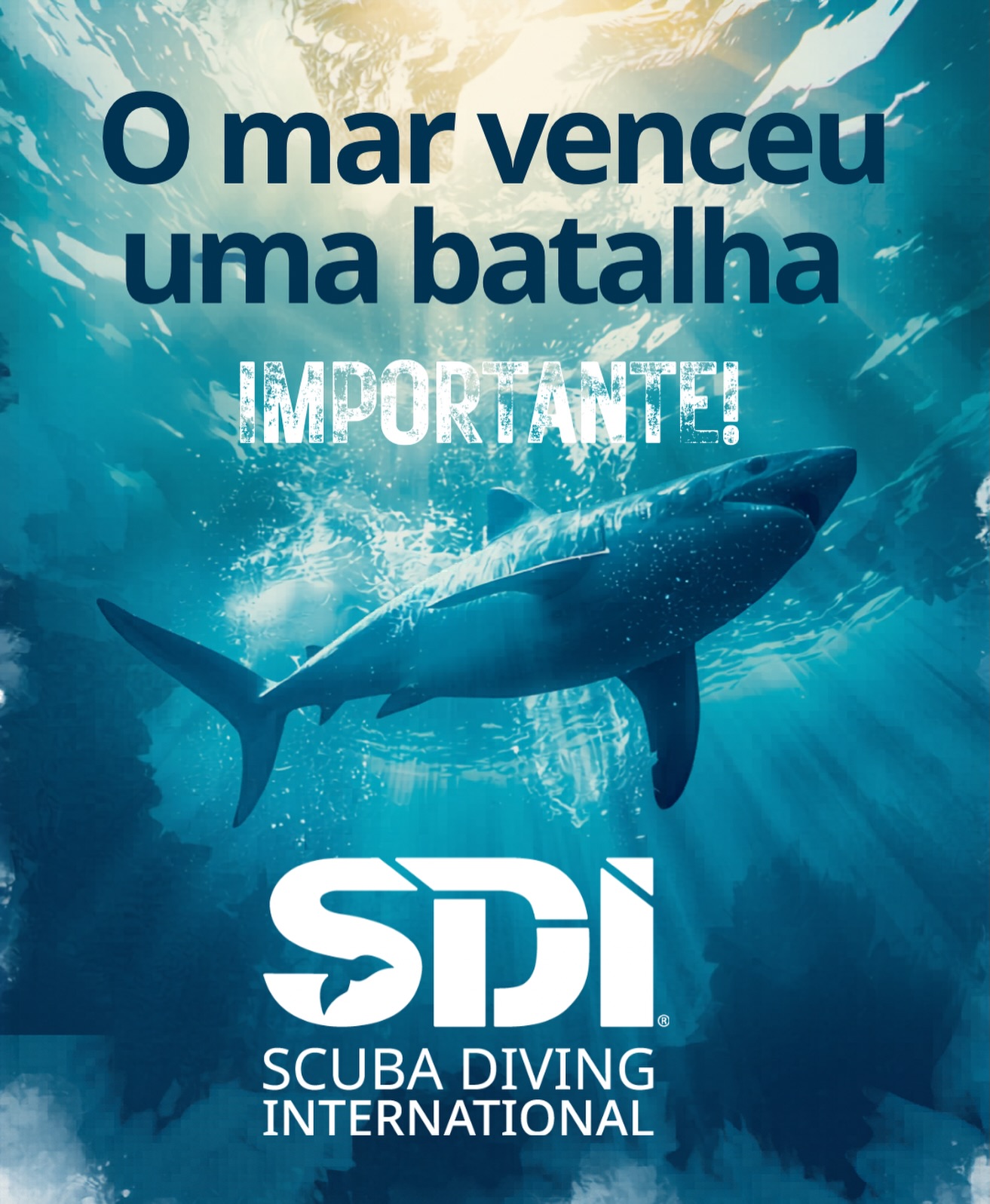 O mar venceu uma batalha importante. 🌊🦈
O Brasil anunciou a proibição da exportação de barbatanas de tubarão-azul separadas do corpo do animal, uma medida muito importante para combater o comércio que incentiva a matança desses animais e fortalecer a proteção da vida marinha. A decisão foi anunciada pelo Ibama em 26 de março de 2026 e também vem acompanhada de regras mais rígidas para controle, rastreabilidade e comércio internacional da espécie. (Agência Brasil)
Para ambientalistas, mergulhadores e todos que entendem o valor do oceano vivo, isso representa mais do que uma nova norma: representa respeito ao equilíbrio marinho, à biodiversidade e ao futuro dos nossos mares. O tubarão-azul já está listado no Anexo II da CITES, e o Brasil agora dá um passo concreto para reduzir a pressão sobre essa espécie.
Tubarões não são vilões. São essenciais para a saúde dos oceanos.
Defender os tubarões é defender o mar.
E defender o mar é defender a vida. 💙
Que essa vitória inspire mais fiscalização, mais consciência e mais proteção real para os nossos oceanos.
#Tubarões #MeioAmbiente #ConservaçãoMarinha #Oceanos #mergulho