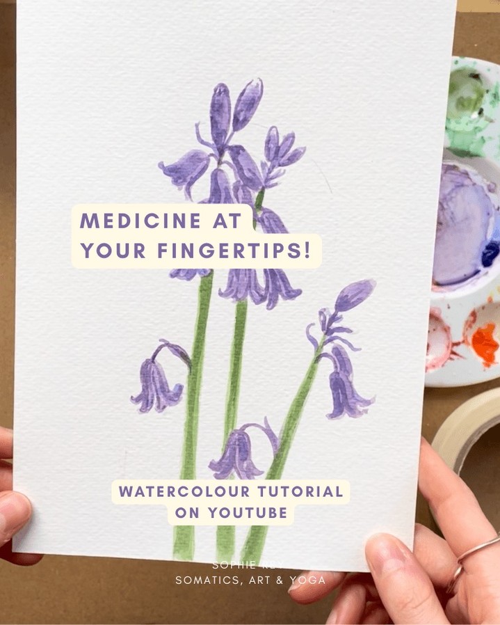 Today I'd love to re-share my Bluebell Watercolour Tutorial with you!
Bluebells don't show up until later in April but this can be a lovely way to welcome them in and transition into a new month, where they will be in abundance!
Pop some gentle soothing music on and enjoy.
Creativity is inherently Somatic. It is and always was always body-led, before we started testing it and marking it as ‘good or bad’ or ‘not productive enough’.
So I invite you to focus on what you are doing in the moment and try not to analyse whether you think it's or rubbish or not.
Whatever the outcome, it's your personal impression and creative voice, and that's something to be proud of and inspired by!
https://youtu.be/qtJ8G92saSY?si=z4Sx7JEqYXrPBFCu
✨✨✨ Week 6 of Embody Your Joy is Medicine at Your Fingertips; Creative Art Expression✨✨✨
Using whatever materials you have at home, we will spend some time exploring how art and creativity can feel like pure medicine, and be used to soothe our soul, reduce stress and heightened fear and remember deep in our bones that creativity isn't just for self-proclaimed 'artists'. We are all creative beings.
Art is just one way, and it's not for everyone so perhaps you could try something else?
What would your creative medicine be?
✨ 🌀 🌱
Embody Your Joy; 10 Week Group Somatic Coaching & Creativity Programme begins 14th April 2026! There are a few spaces left if you'd love to join....
https://www.sophiereyyoga.co.uk/groupcoaching
10 Weeks, 8 Live Sessions & 2 Weeks Integration
£350
Tuesdays 7pm - 8:30pm UK Time
💛