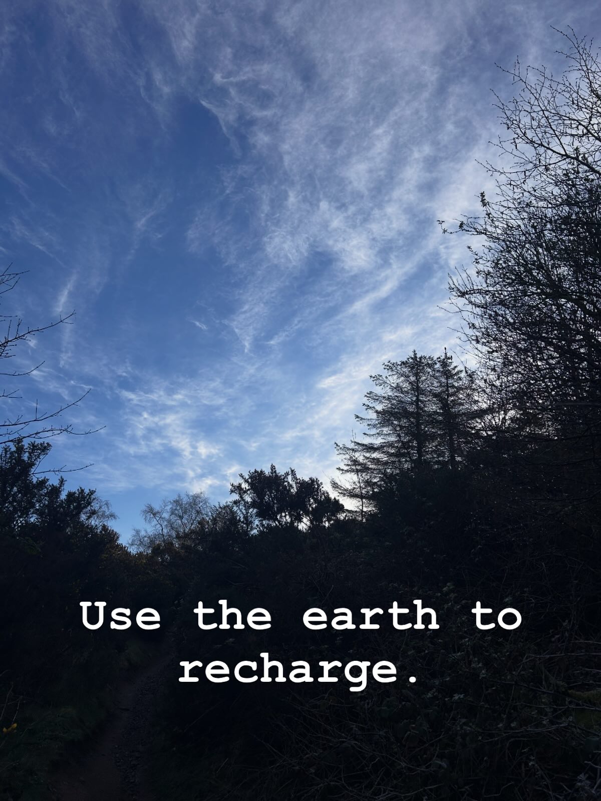 When you stand in nature, you are recharging your batteries.
Mother Nature uses her negative ions to refill your energy stores. The science is clear: nature heals
#forestbathing #forestbathing🌲🌲🌲 #forestbathingscotland #forestbathingedinburgh