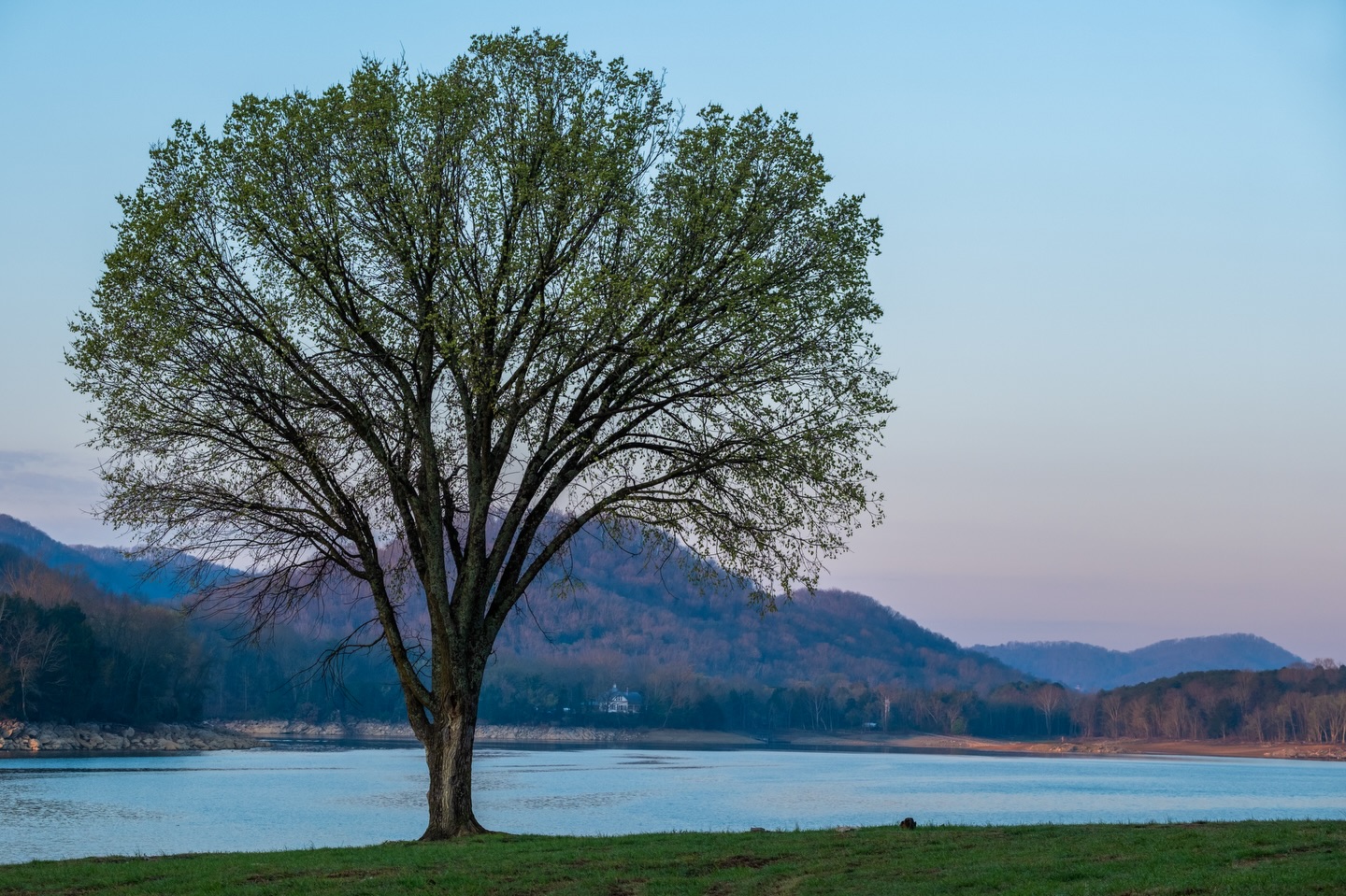 Church House Point, Cherokee Lake, Rogersville, TN.
Camera: FujiFilm XT-5
Lens: FujiFilm 35mm f2.8
Tripod: 3 Legged Thing
No filter
#fujifilmx_us #photography #cherokeelake #netn #lakes