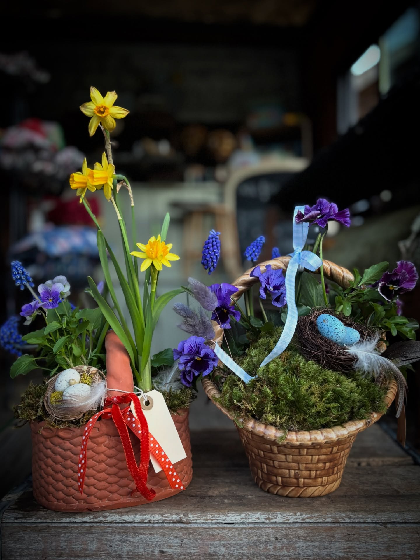 What's on the Flower Truck Today?
Spring Baskets, of course!
Little, vintage gems to enjoy each year.
Sweet gift for a host (or yourself).
These are each a "one-of-a-kind" featuring flowering bulbs, Pansies, tiny nests, moss and ribbons-$45
Pick up, anytime