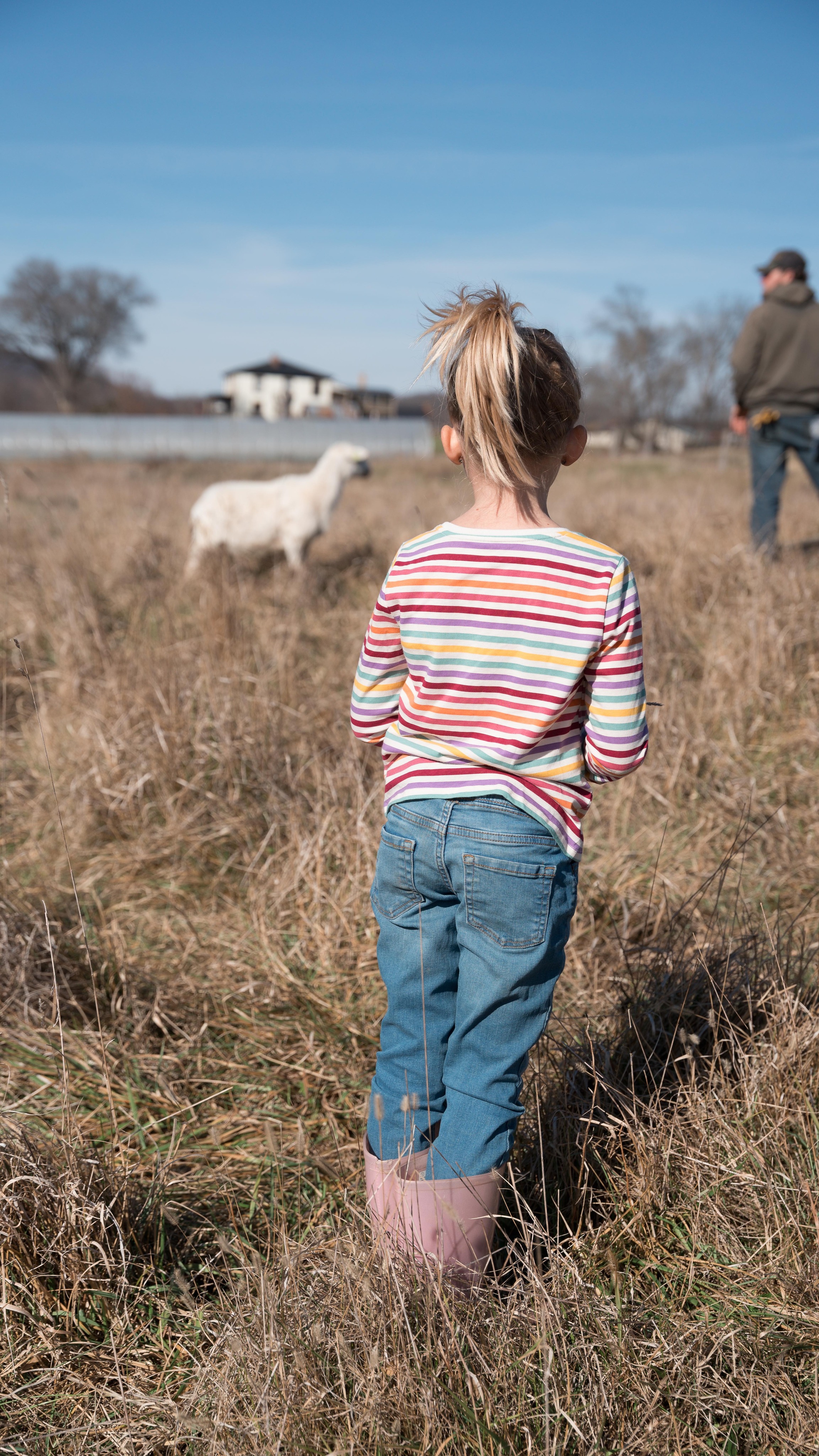 Happy Ag Day!
Today is a reminder to thank a farmer for the early mornings, the long days, and the care that goes into feeding our communities. Enjoy a few images from Verdant Acres in Raphine, a regenerative family farm doing meaningful work right here in the Shenandoah Valley.
From their farm store to their farm share opportunities, @verdantacresfarm is a beautiful example of local agriculture, sustainability, and community connection in action. If you’re looking to support a local farm in Virginia, they’re a great place to start.
#AgDay #SupportLocalFarms #ShenandoahValley #VirginiaAgriculture #BrandPhotography